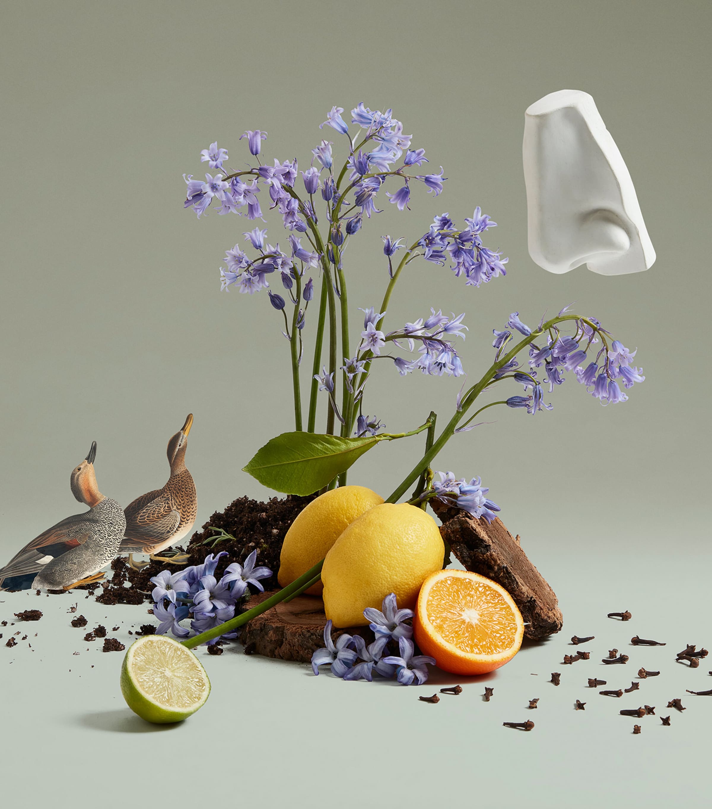 Penhaligon's Bluebell Eau de Toilette (100ml) Image 3