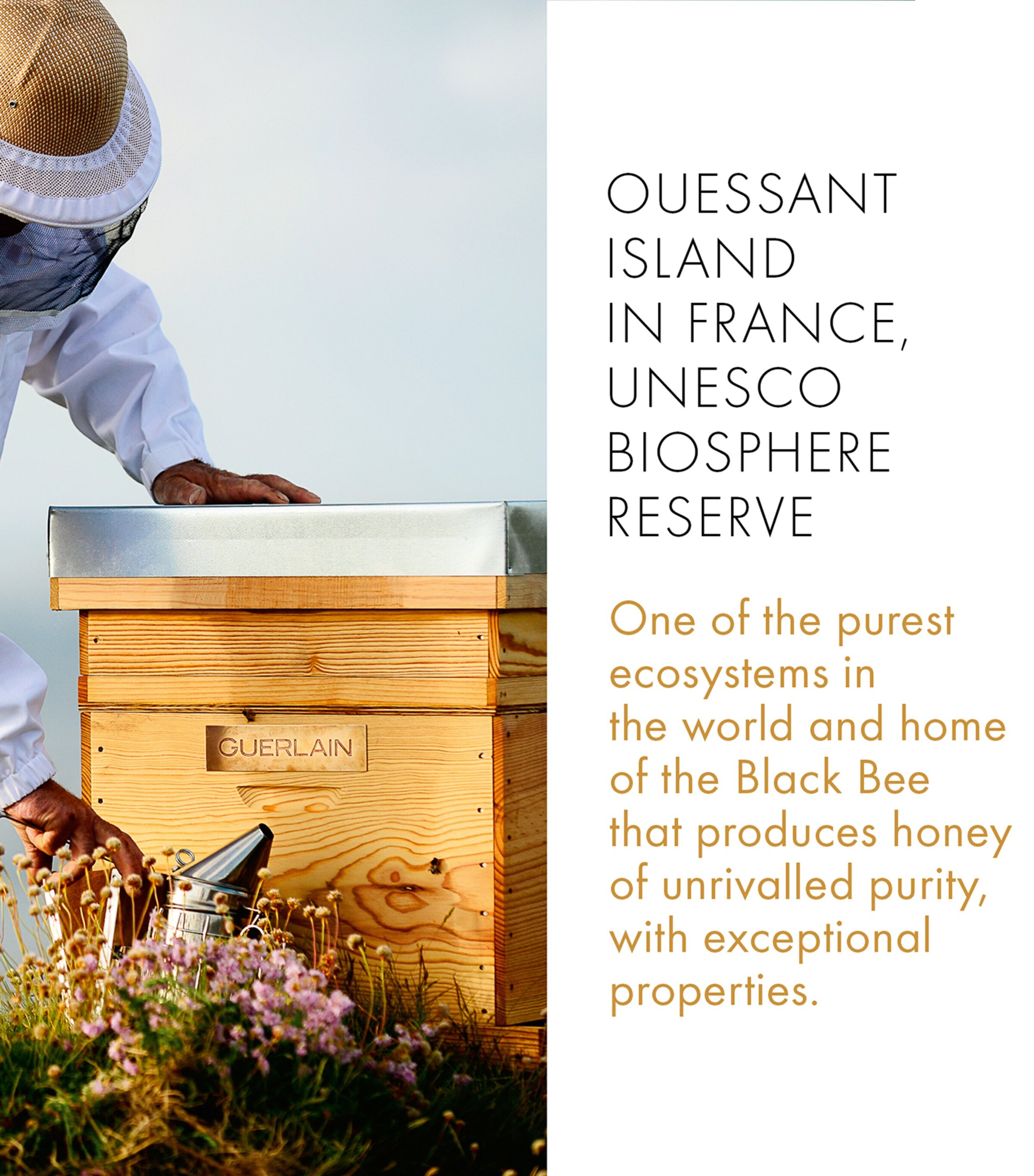 Abeille Royale Repairing & Youth Hand Balm (40ml) NO COLOUR Image 2