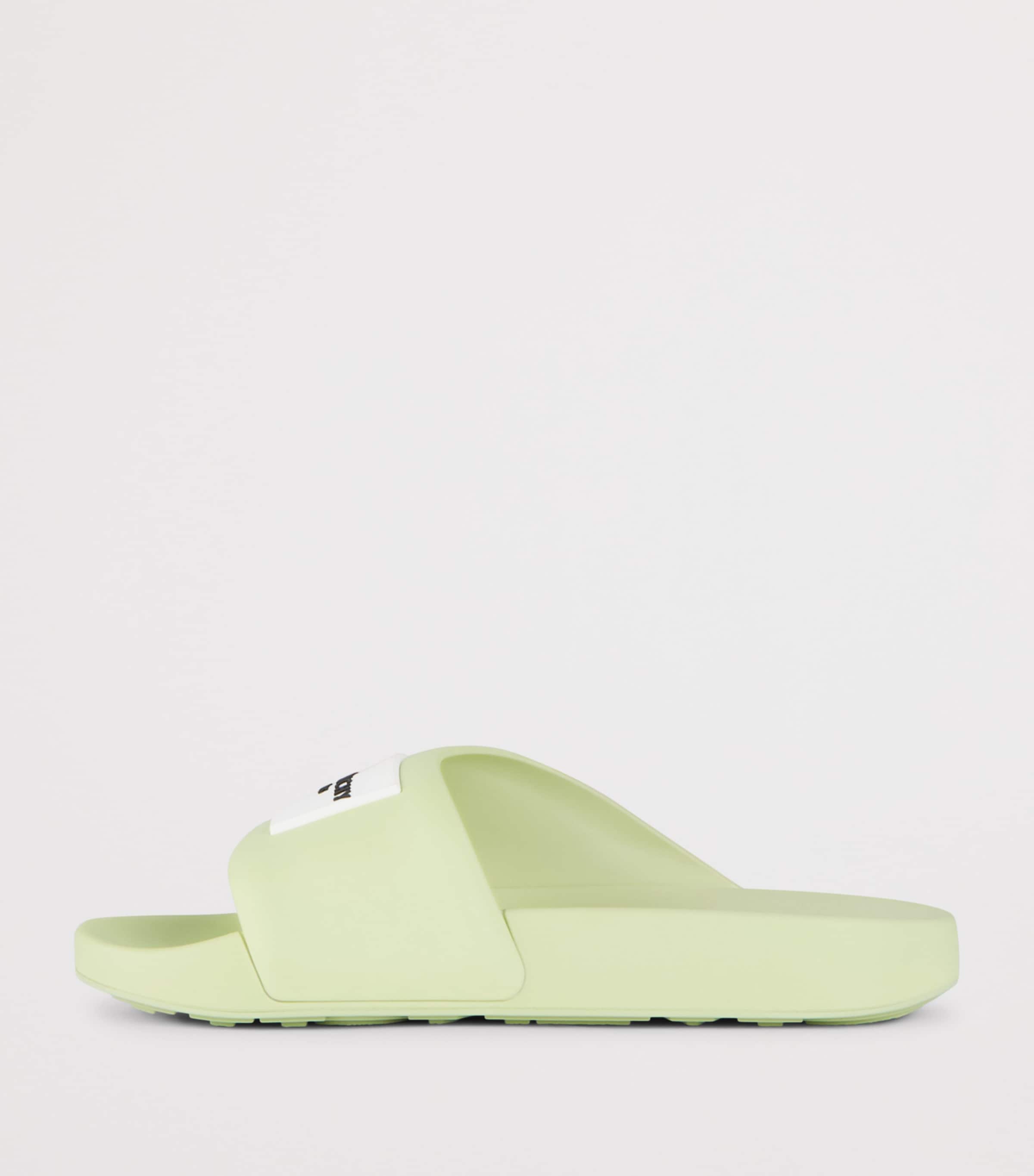 Logo Slides PALE GREEN Image 3