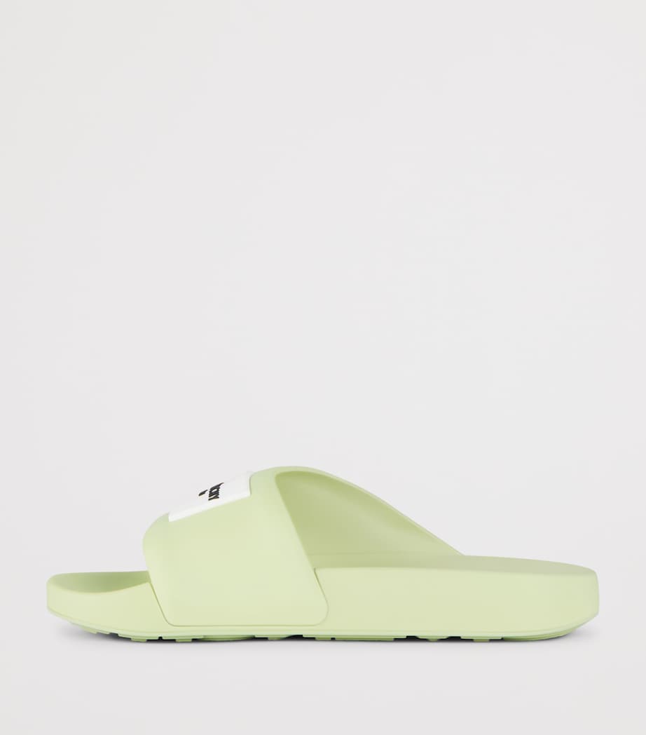 Logo Slides PALE GREEN Image 3