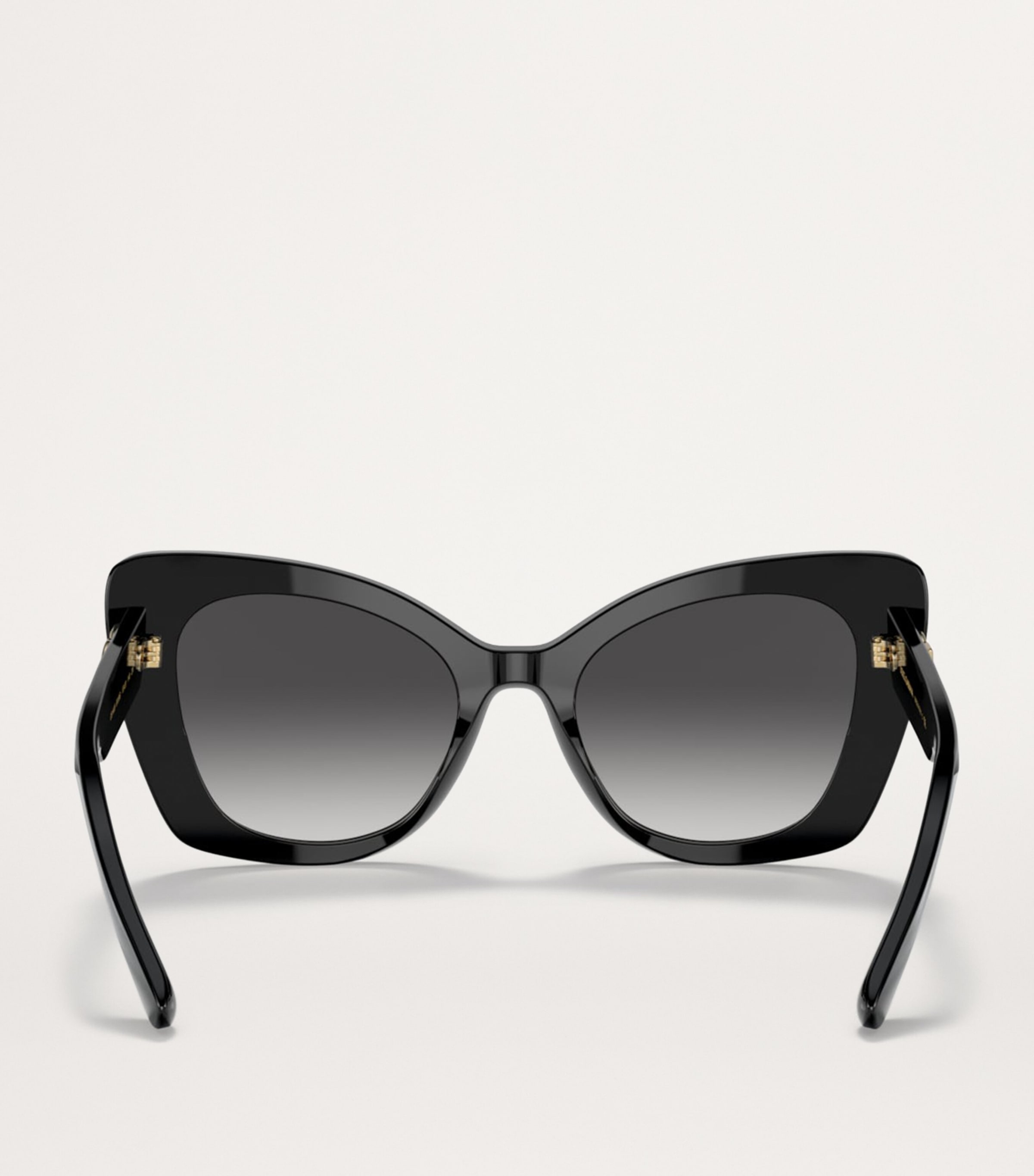 Acetate Cat-Eye Sunglasses 501/8G Image 4