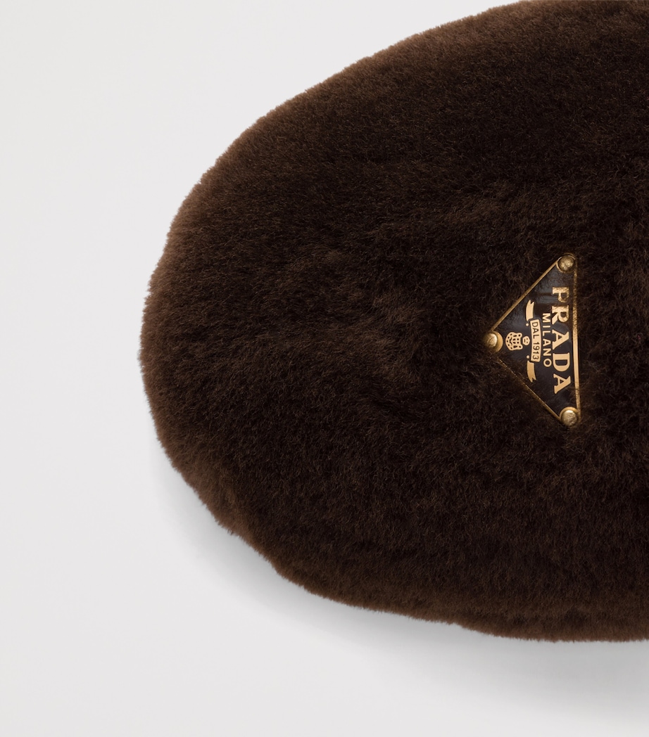 Prada Shearling Ballet Flats Brown Image 5