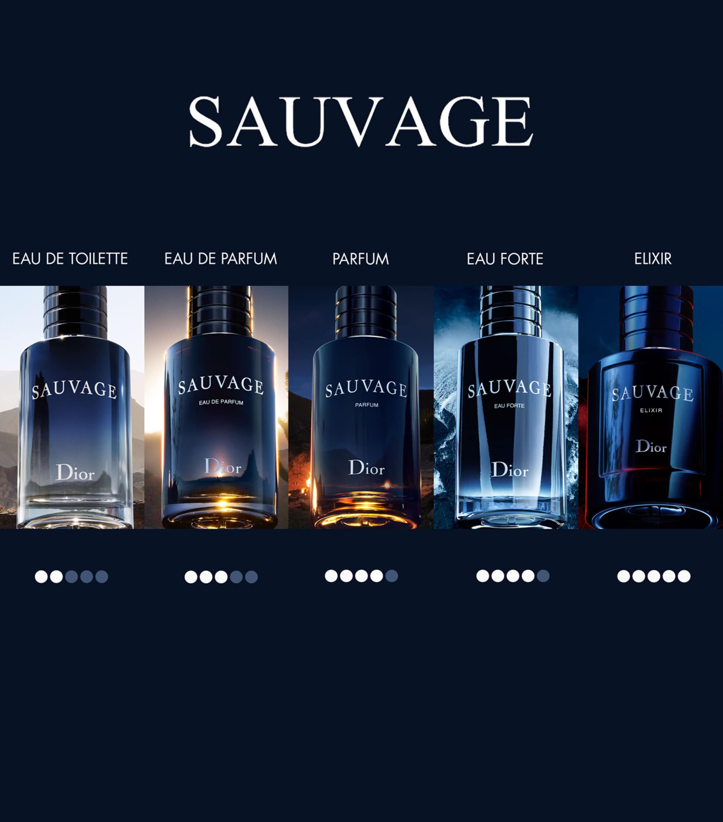 【本日限定価格】Dior SAUVAGE Eau de Parfum 100ml Sauvage Eau de Parfum: Citrus Vanilla Fragrance - Refillable