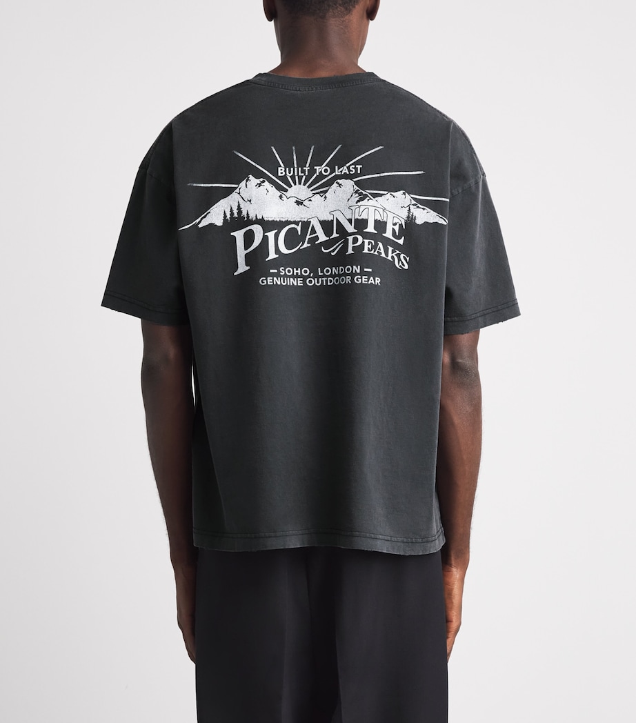 Picante Mens Organic Cotton Peaks Patch Logo T-Shirt Vintage Black Image 5