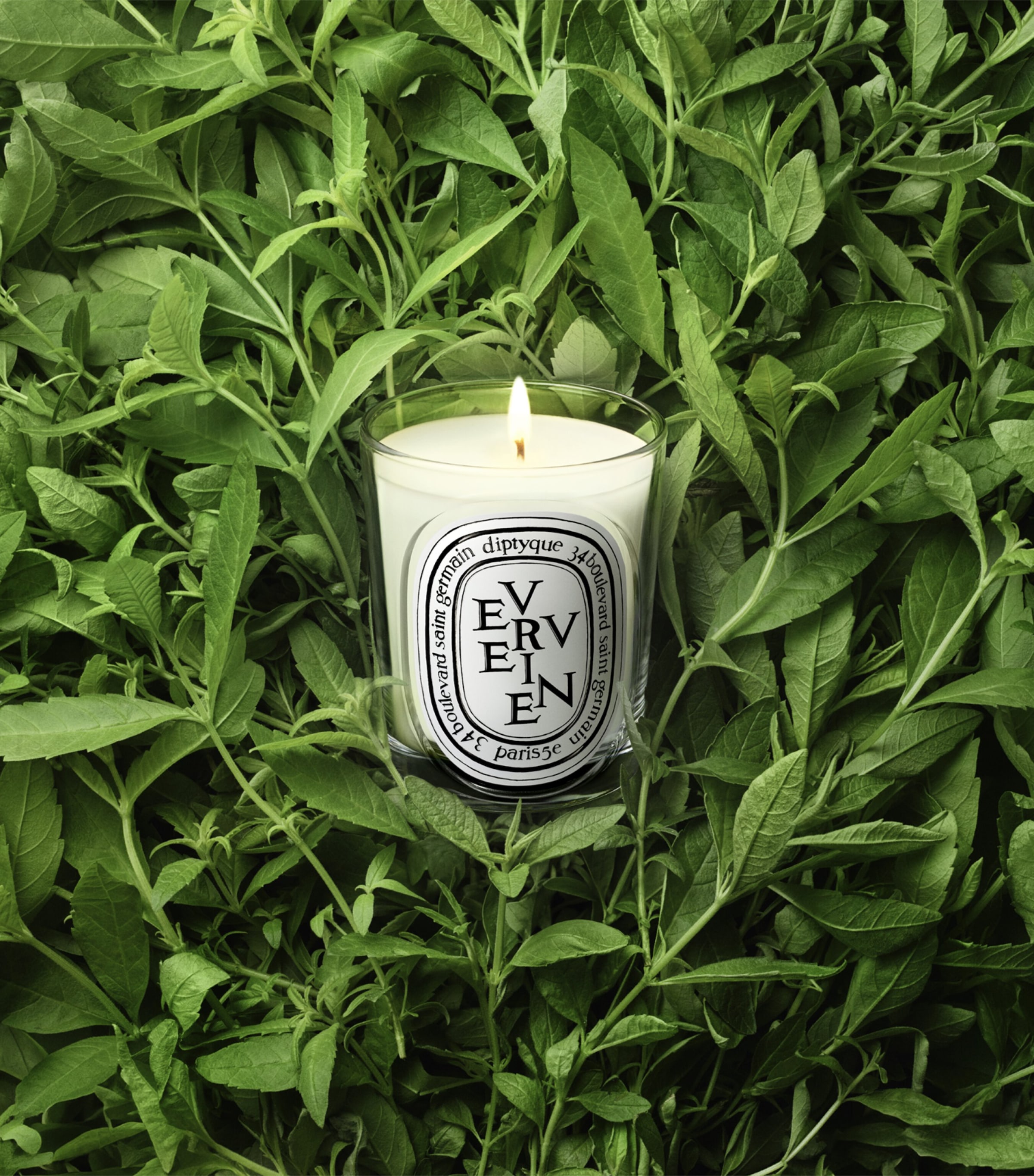 Diptyque Verveine Candle (190g) Image 3