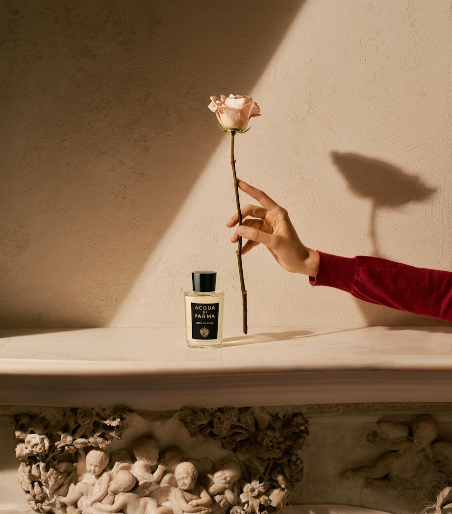 Acqua di Parma Luce di Rosa Eau de Parfum (100ml) Image 3