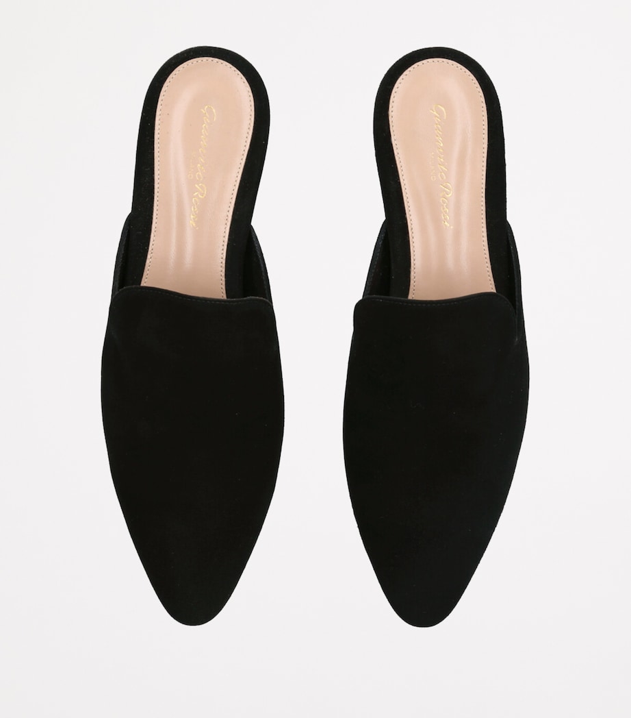 Gianvito Rossi Suede Raja Slides Black Image 4