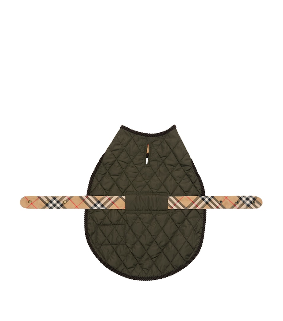 Quilted Nylon Check Dog Coat SHALE Image 2