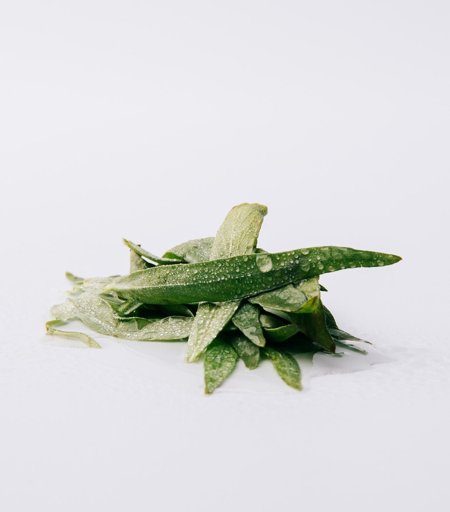 Esencia Eau de Parfum (100ml) NO COLOUR Image 3