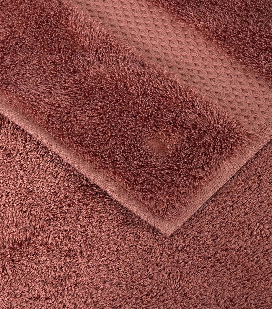 Étoile Santal Guest Towel (55cm x 90cm) SANTAL Image 4