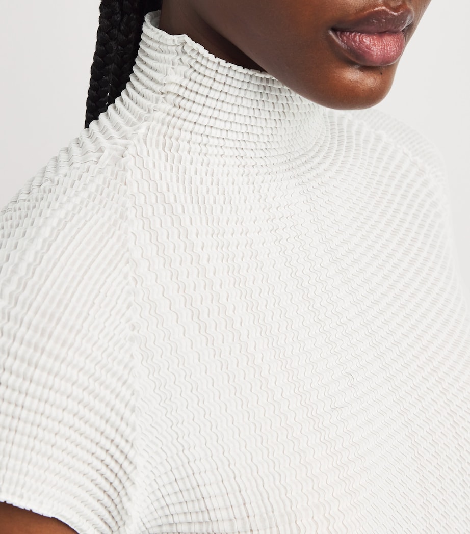 Wooly Pleats Top 1 Image 6