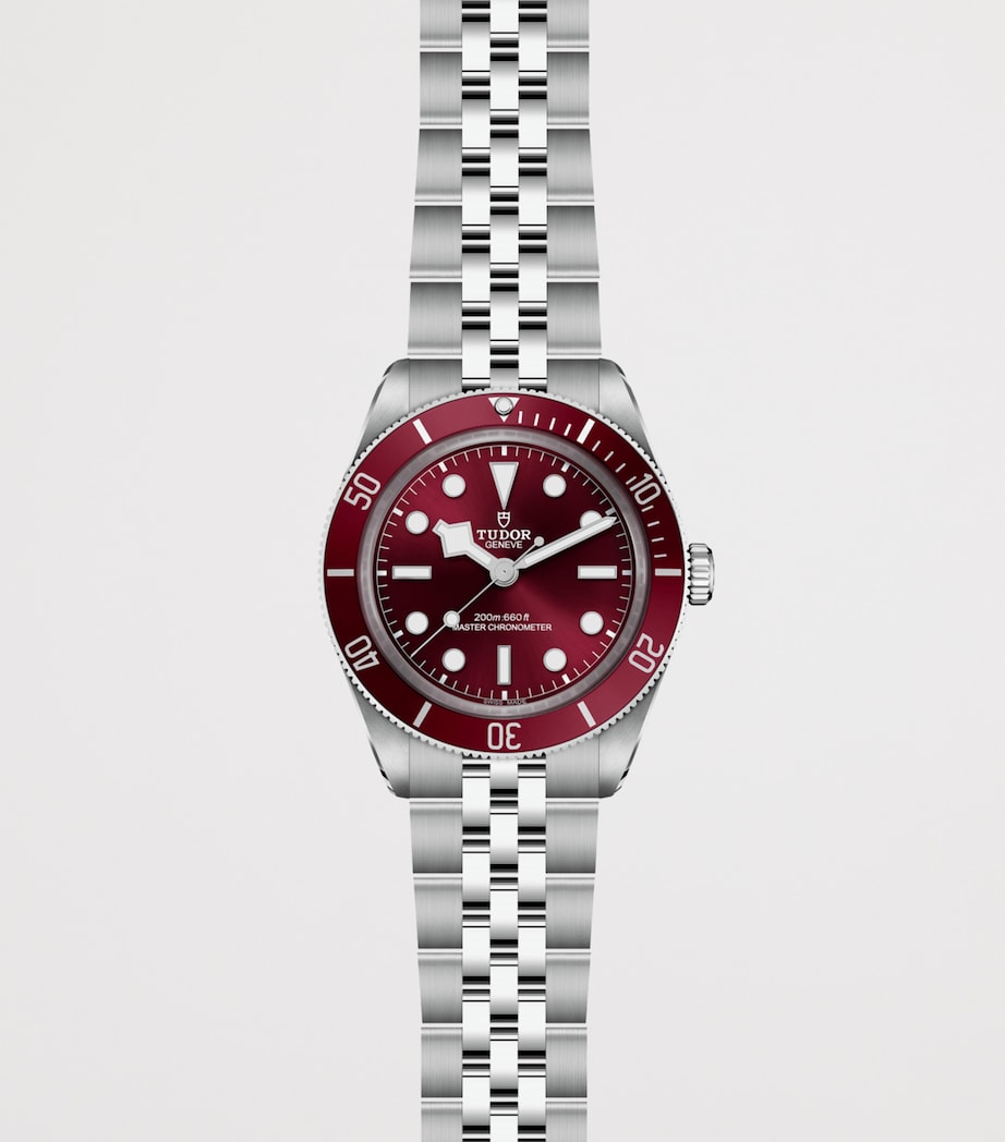Black Bay 58 Stainless Steel Watch 39mm RED Image 2