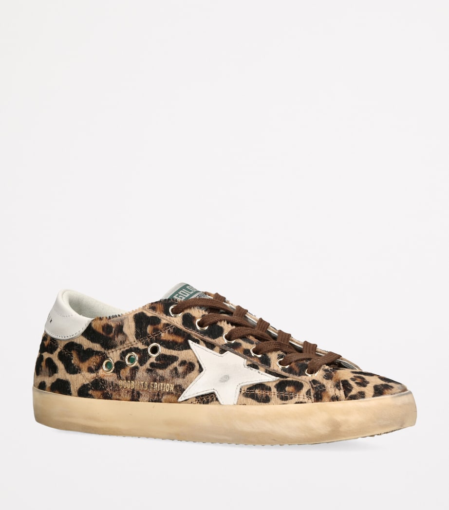 Pony Skin Leopard Print Super-Star Sneakers BROWN/OTH Image 3