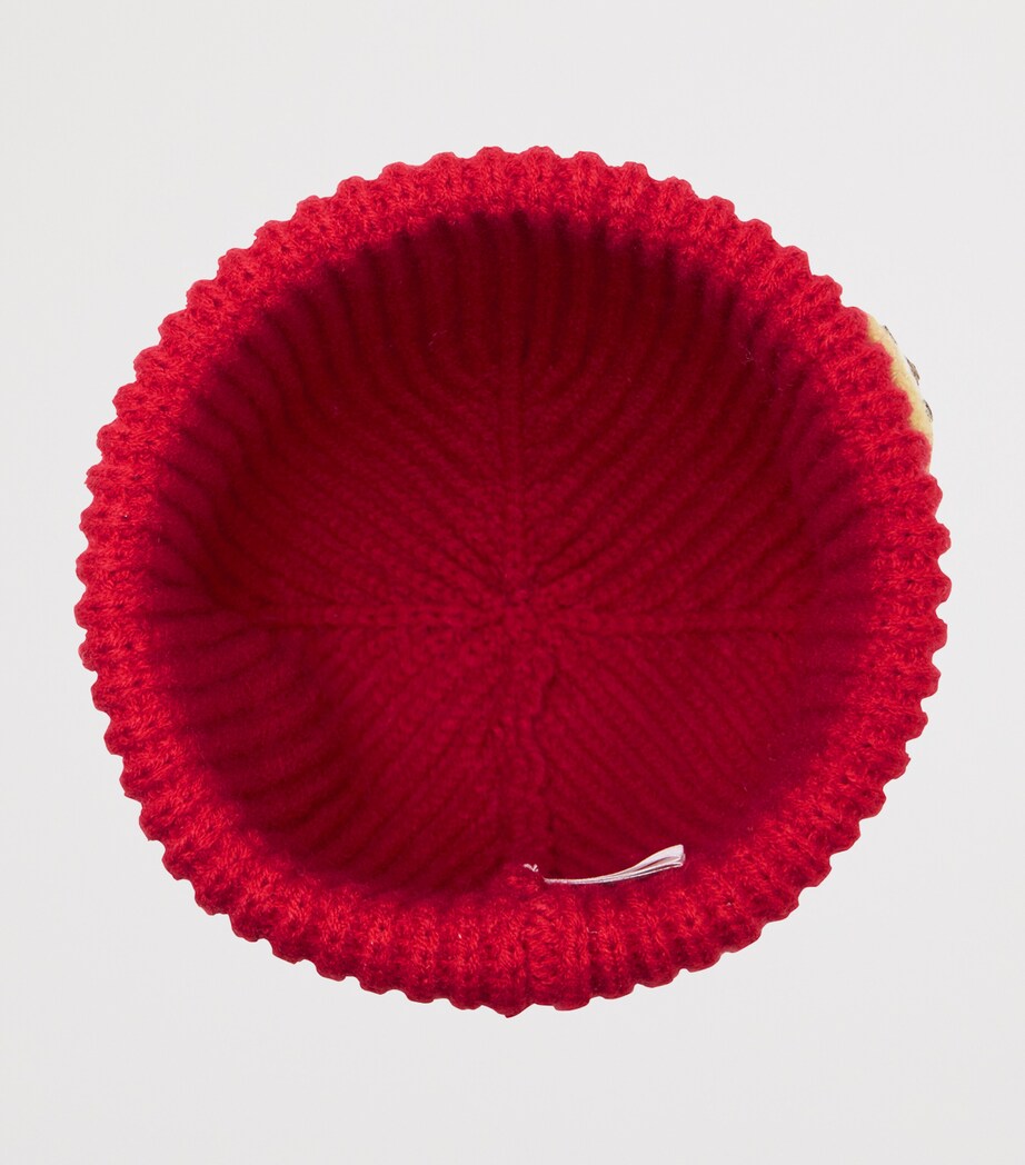Knitted Felt Character Beanie Hat 2 Image 3