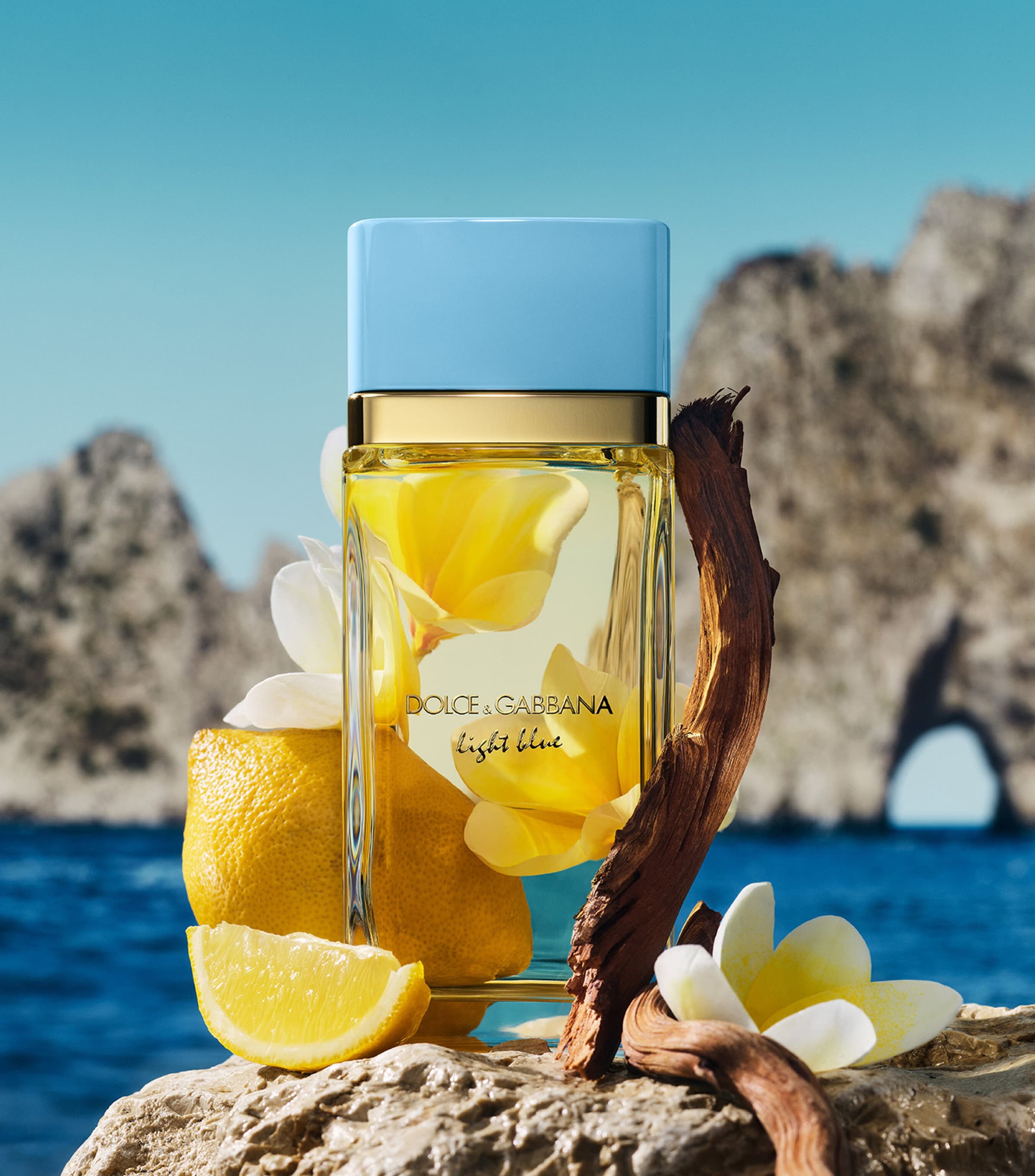 Dolce&Gabbana Light Blue Eau de Parfum (100ml) Image 4