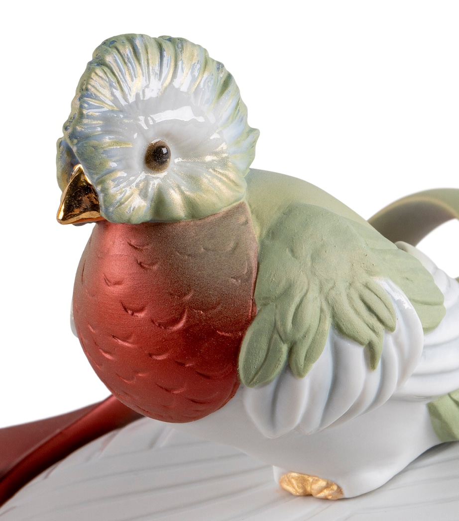 Porcelain Quetzal Box NO COLOUR Image 6