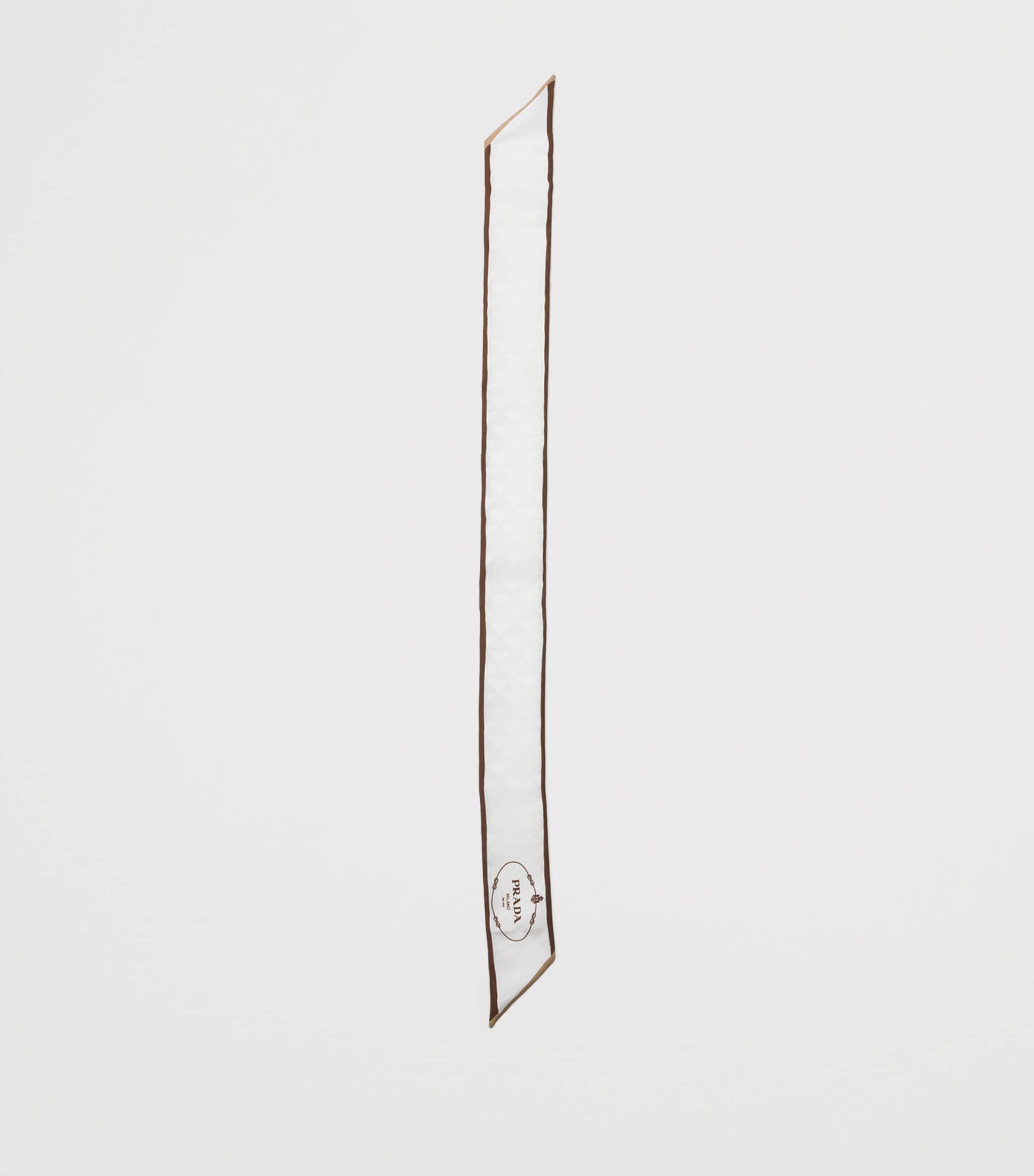 Silk Twill Skinny Scarf F0AU1 Image 3