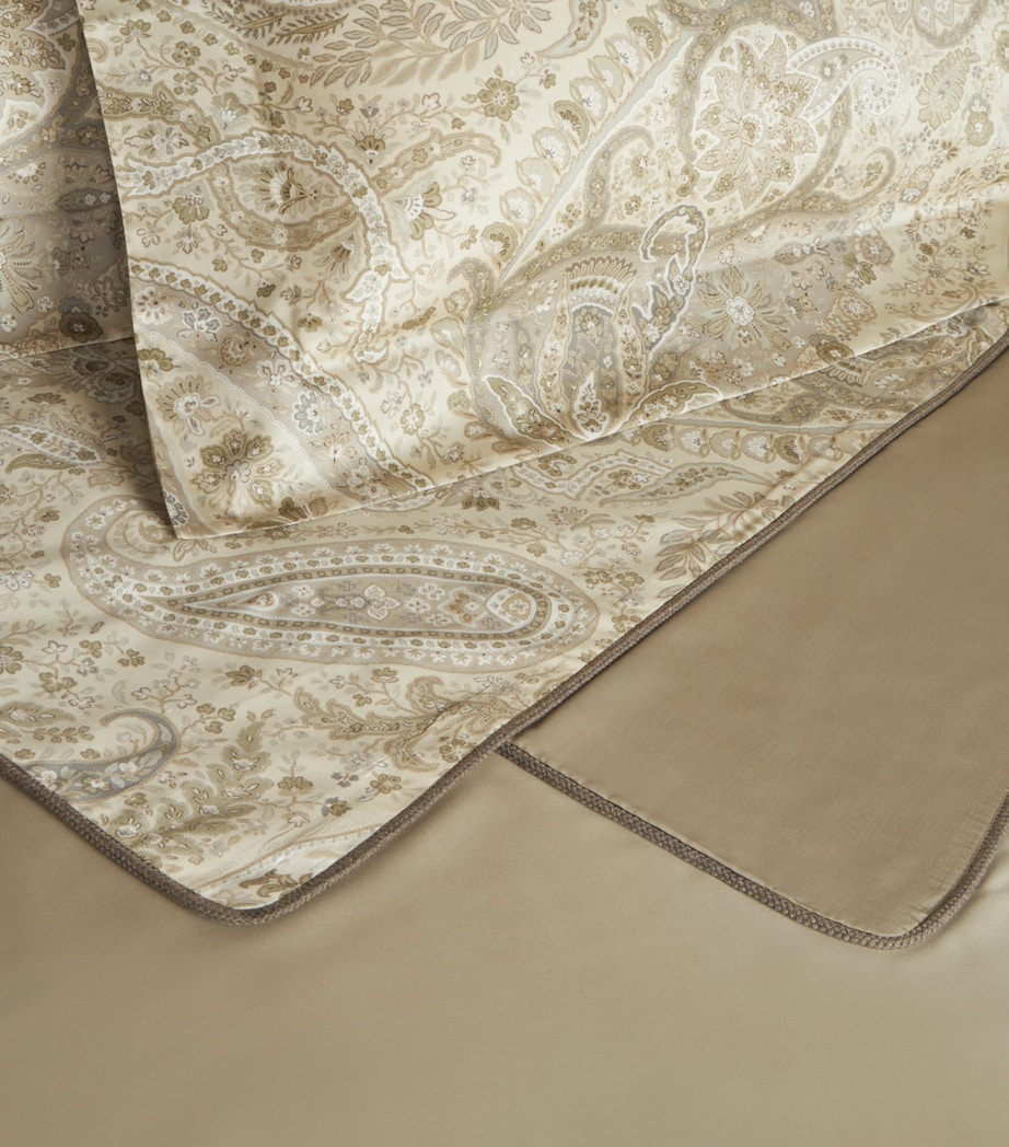 Etro Maranta Cushion (45cm x 45cm) Multi Beige Base Image 3
