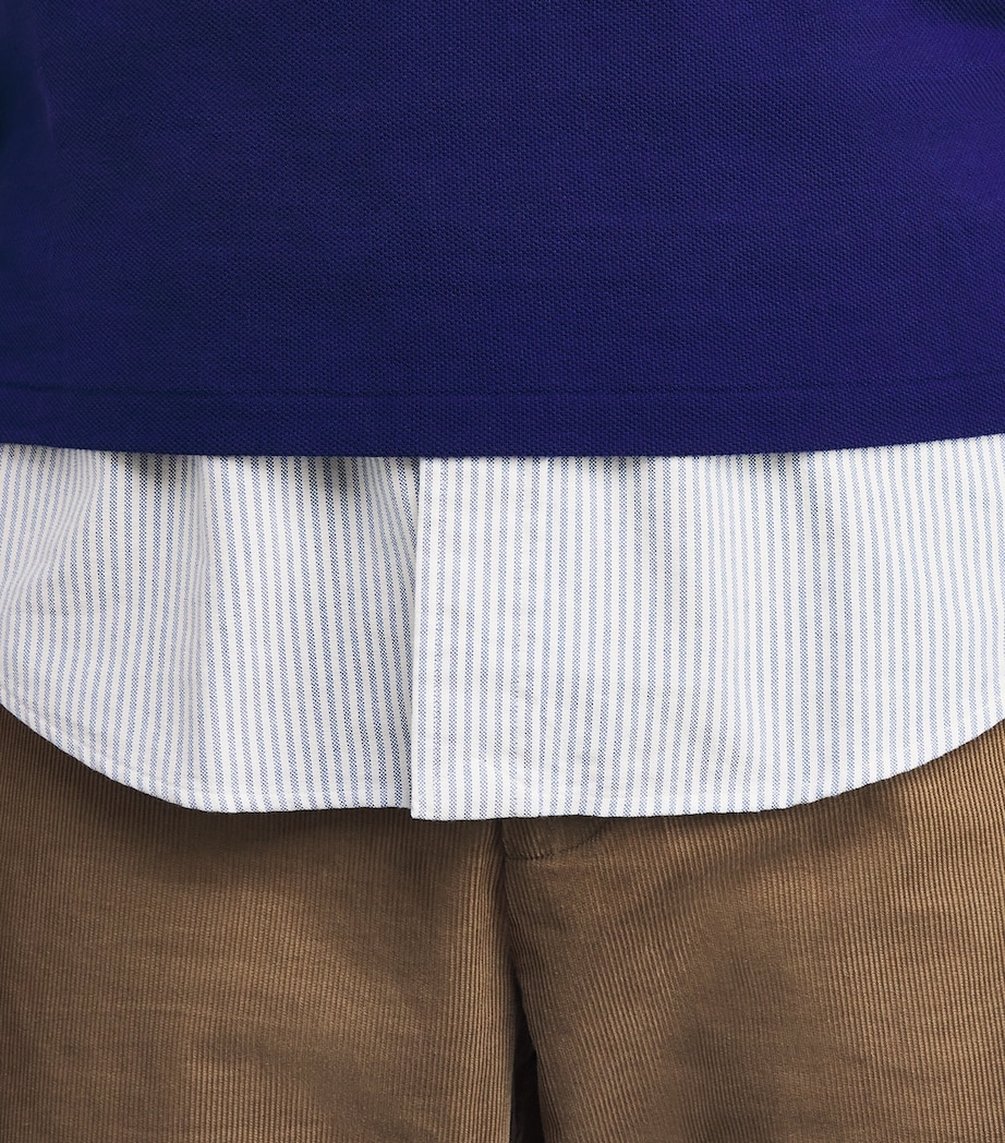 Polo Ralph Lauren Mens Striped Oxford Shirt Blue/white Stripe Image 6