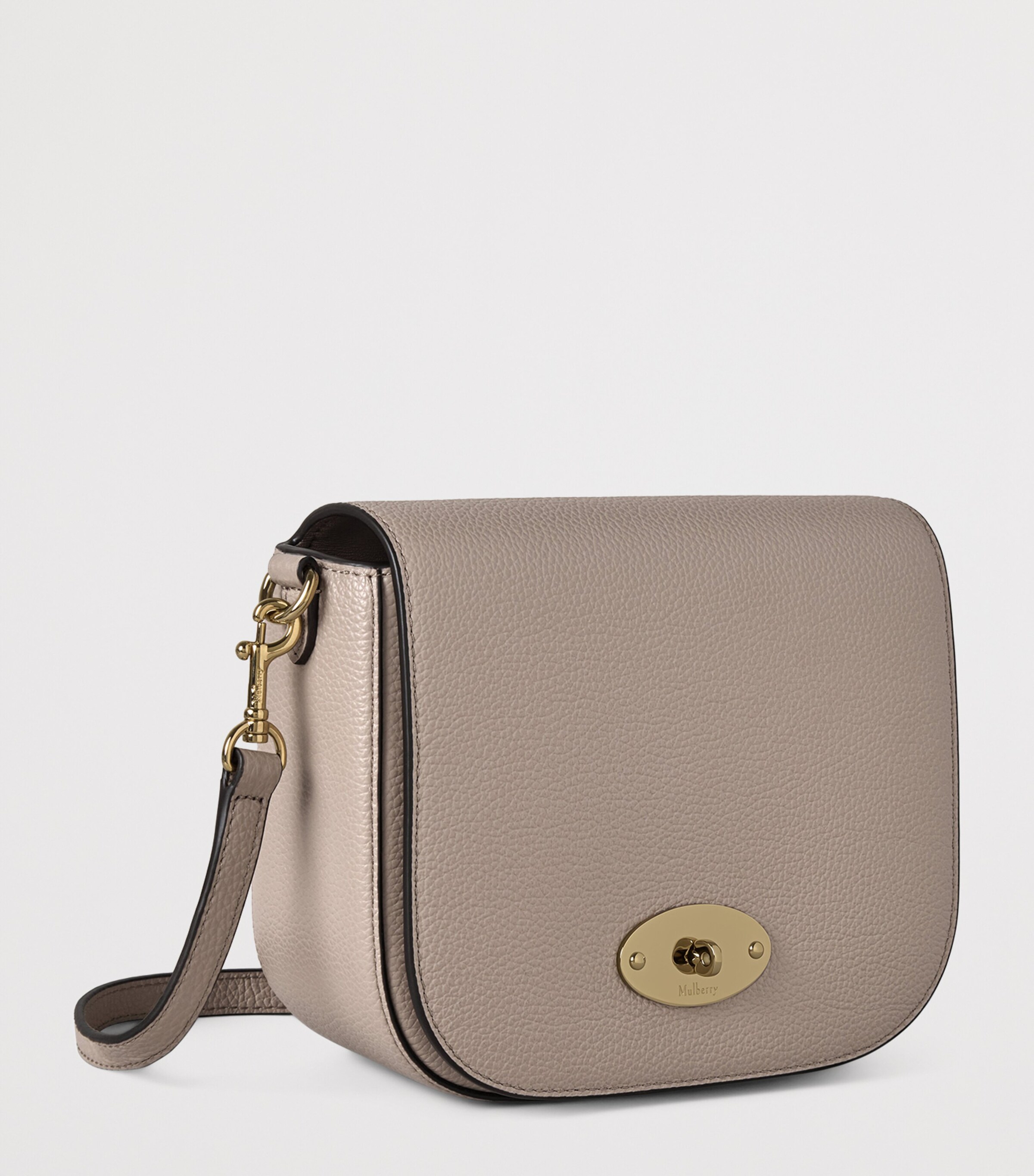 Small Leather Darley Shoulder Bag CASHMERE TAUPE Image 2