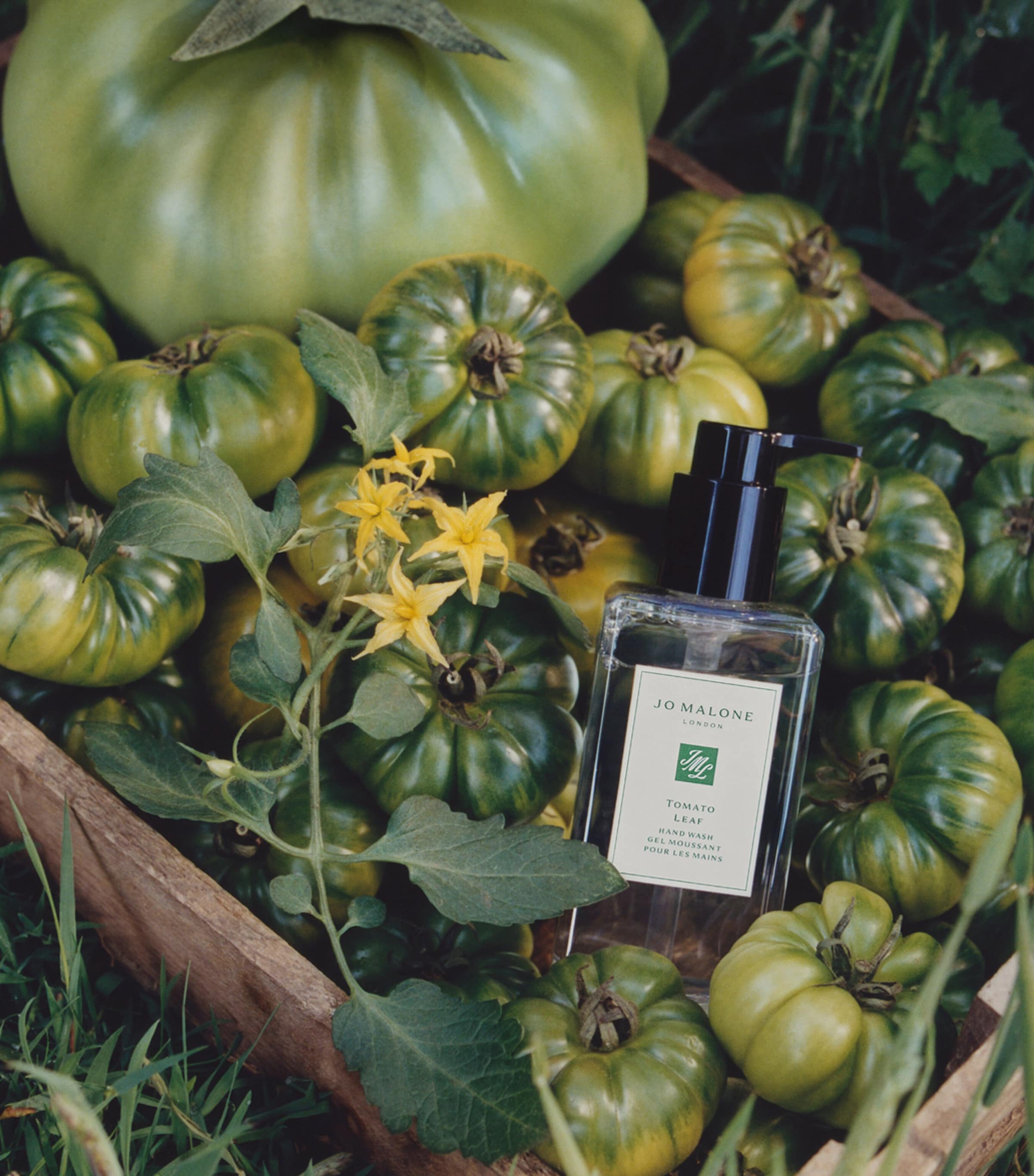 Jo Malone London Tomato Leaf Hand Wash (250ml) | Harrods TW