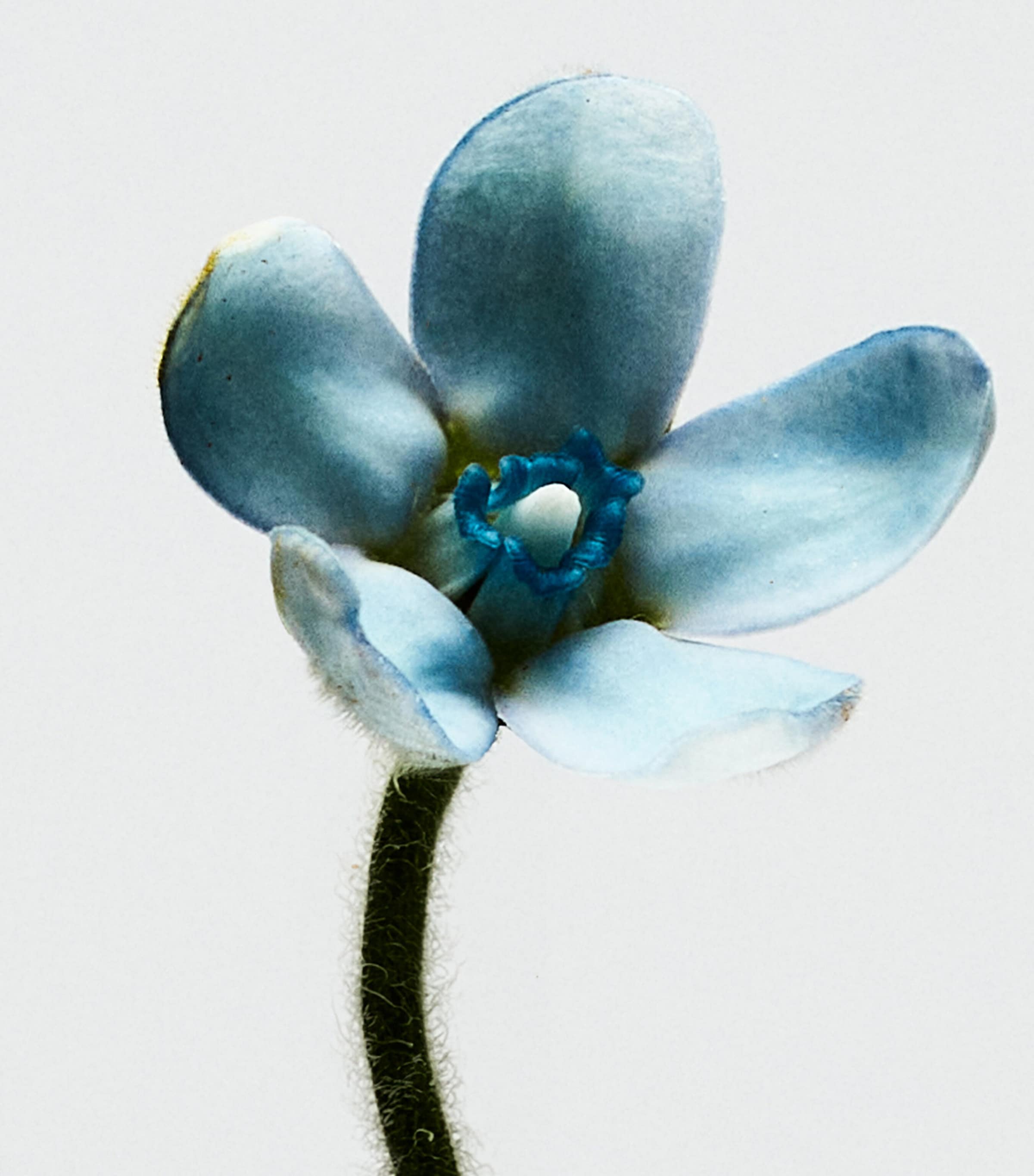 001 Woman Eau de Toilette (50ml) NO COLOUR Image 3