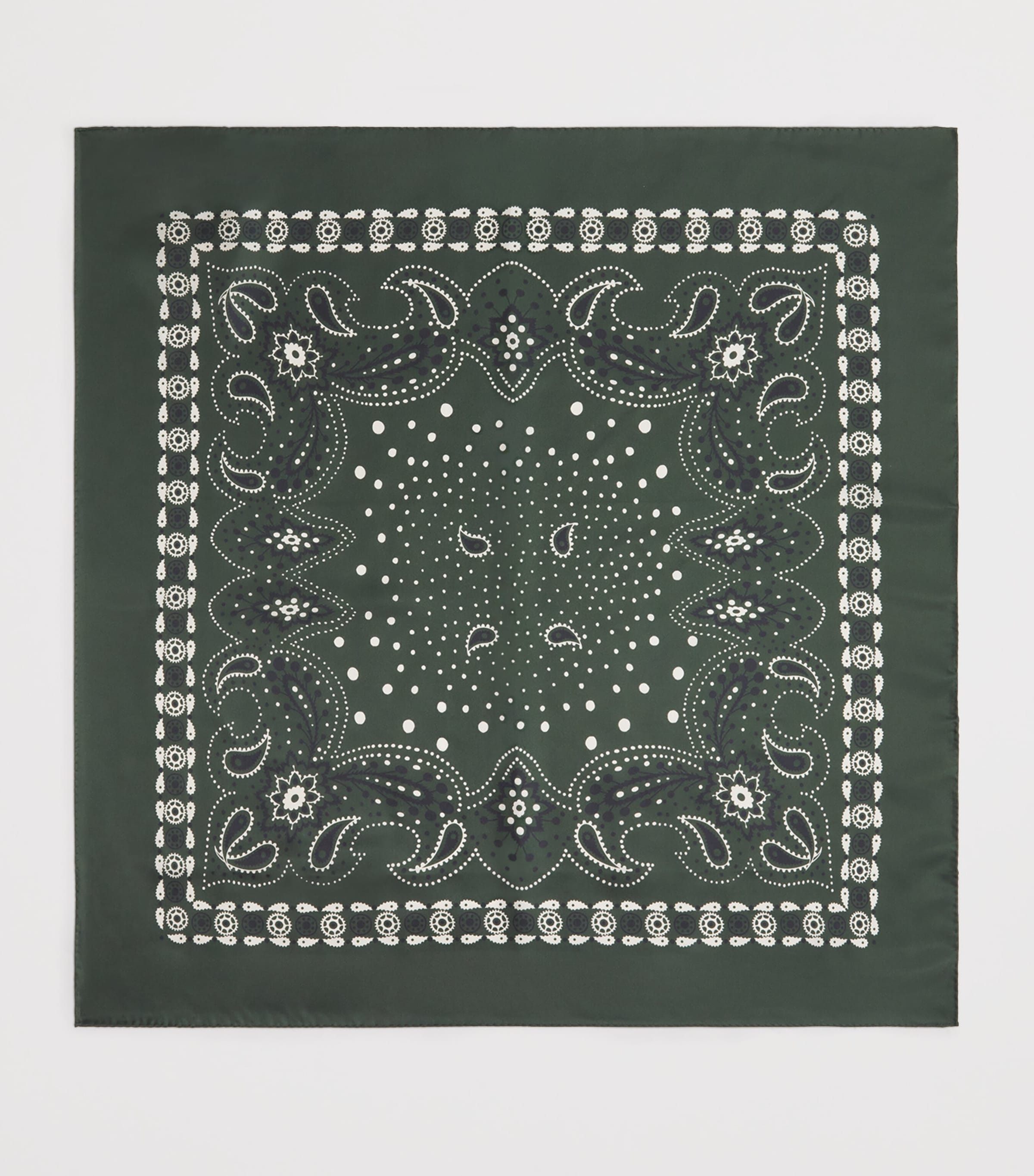 Silk Paisley Print Scarf GREEN Image 3