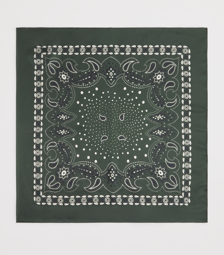 Silk Paisley Print Scarf GREEN Image 3