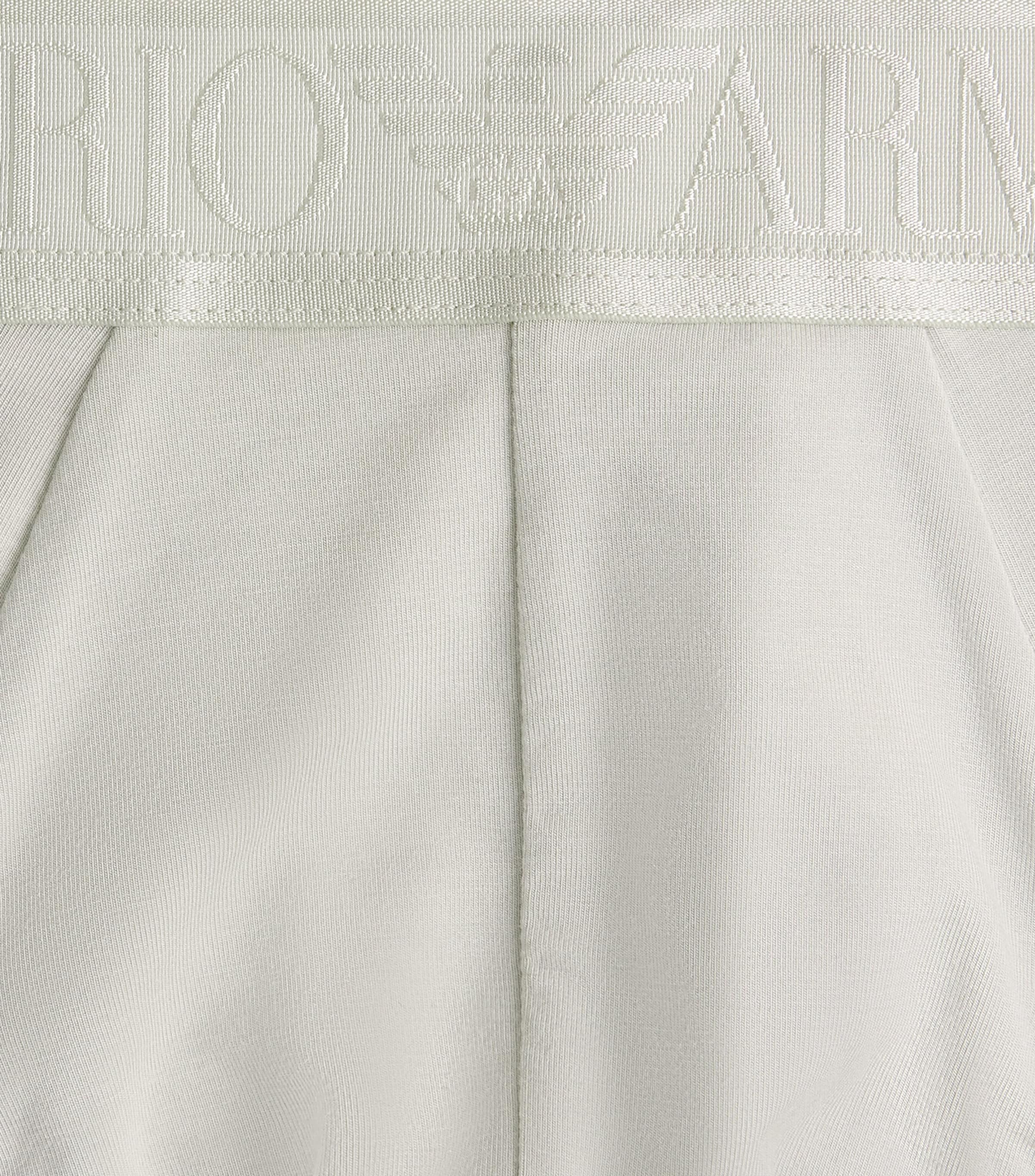 Emporio Armani Mens Modal Logo Briefs Mineral Image 5