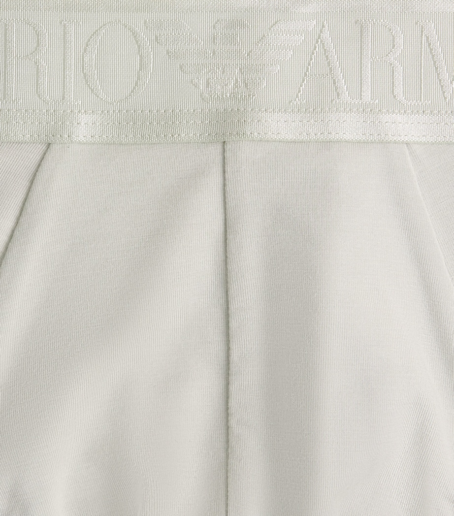 Emporio Armani Mens Modal Logo Briefs Mineral Image 5