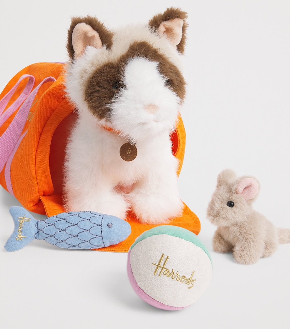 Cat In A Bag Toy Set (35cm) MULTI Image 4