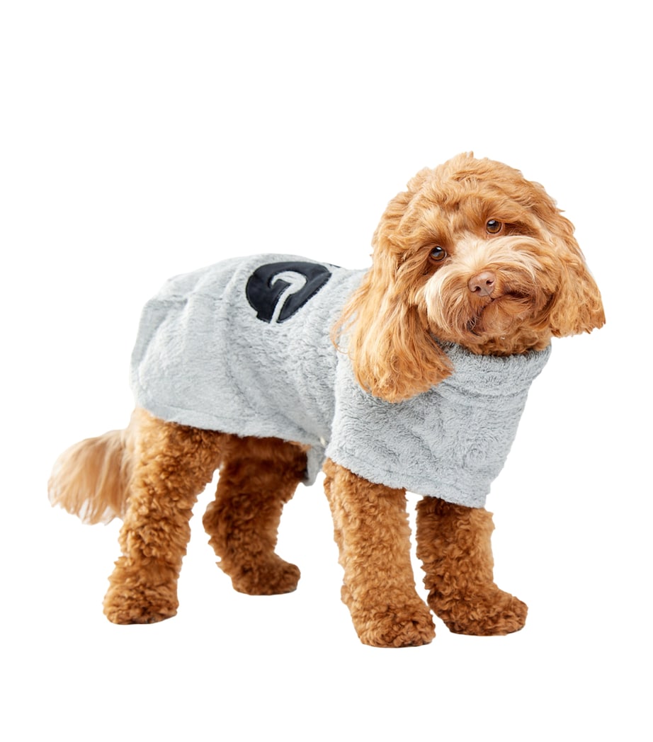 DOG Extra Small Towelling Dog Poncho Grey Image 1