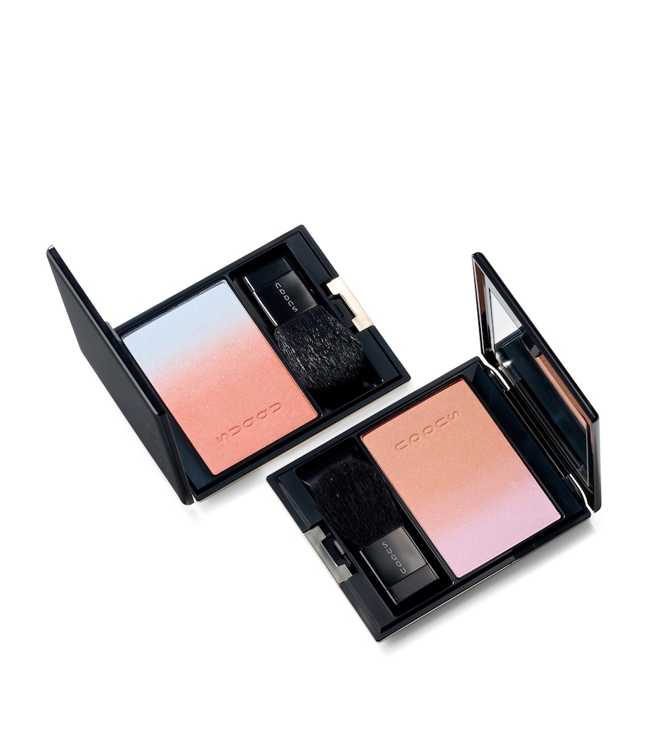 Suqqu Pure Color Blush Image 3
