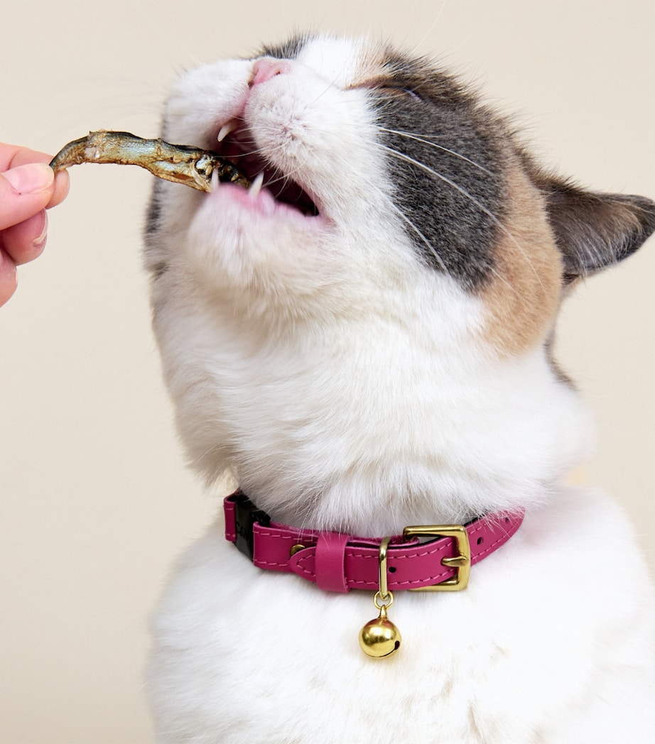 Cheshire & Wain Small Leather Wonderland Cat Collar Pink Image 5