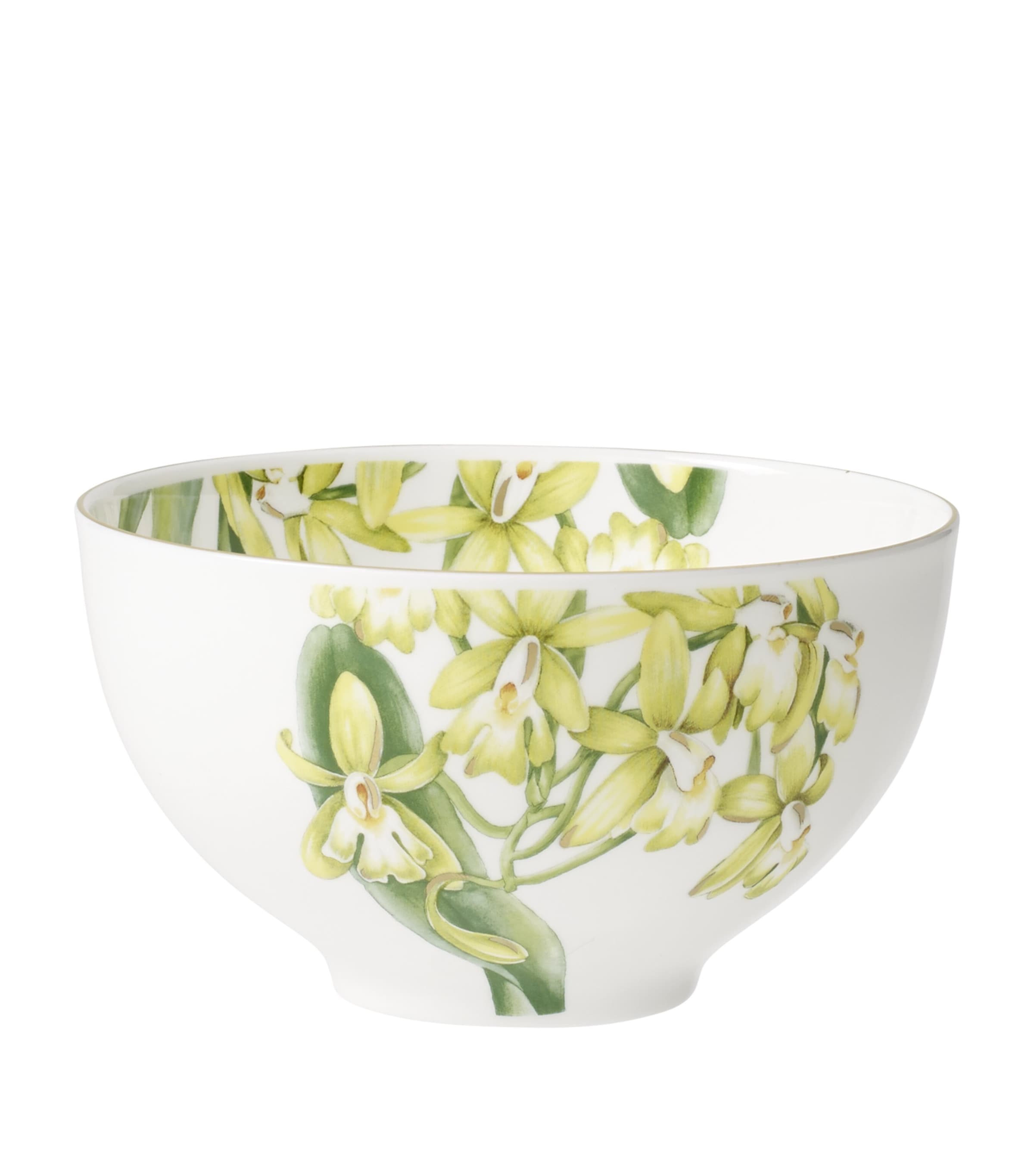 Amazonia Bowl (13cm) NO COLOUR Image 1