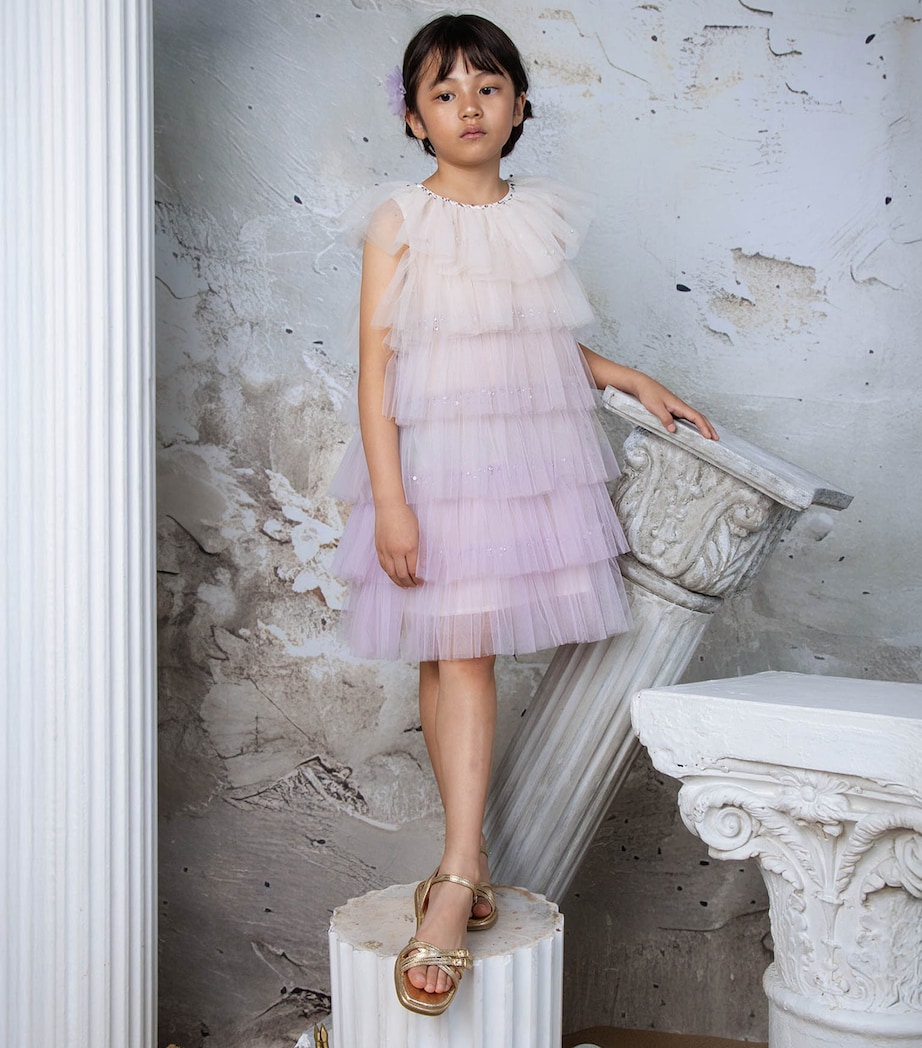Tutu Du Monde Tulle Josette Dress (2-11 Years) Tattered Sail Mix Image 2