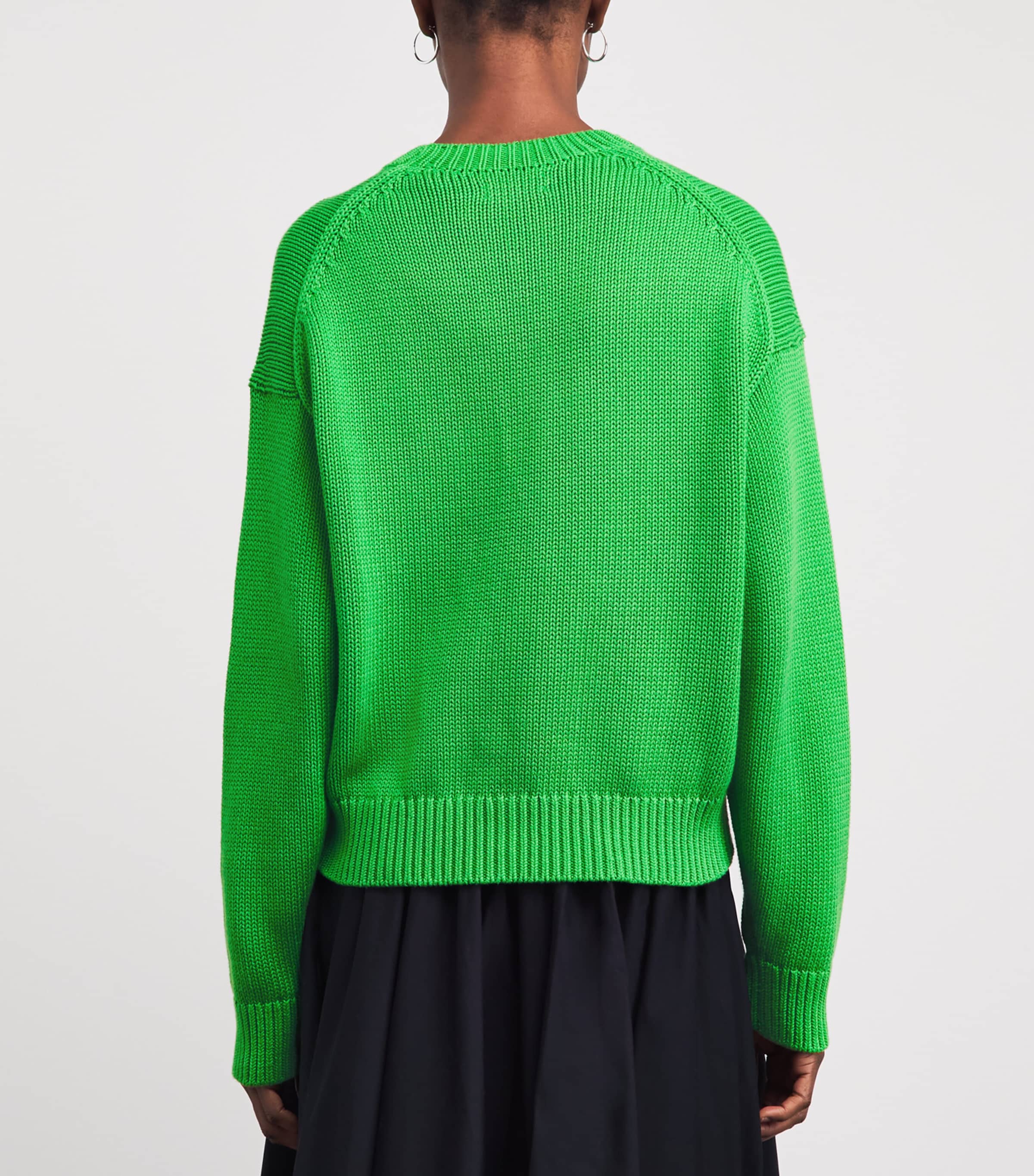 Polo Ralph Lauren Womens Cotton Big Pony Sweater Palm Green Image 5