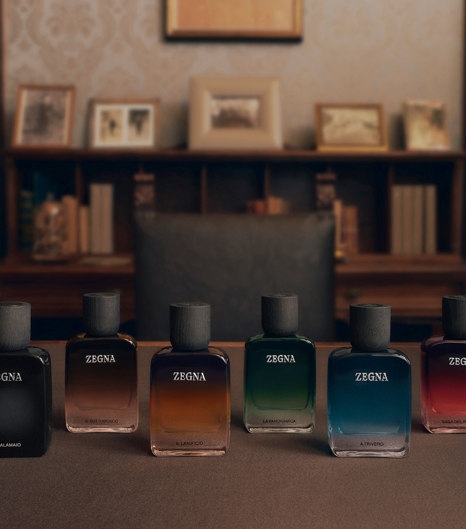 Zegna La Panoramica Eau de Parfum (100ml) Image 5