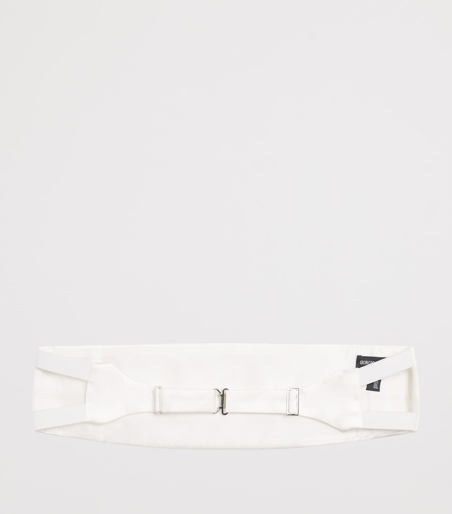 Silk Cummerbund 00010 Image 3