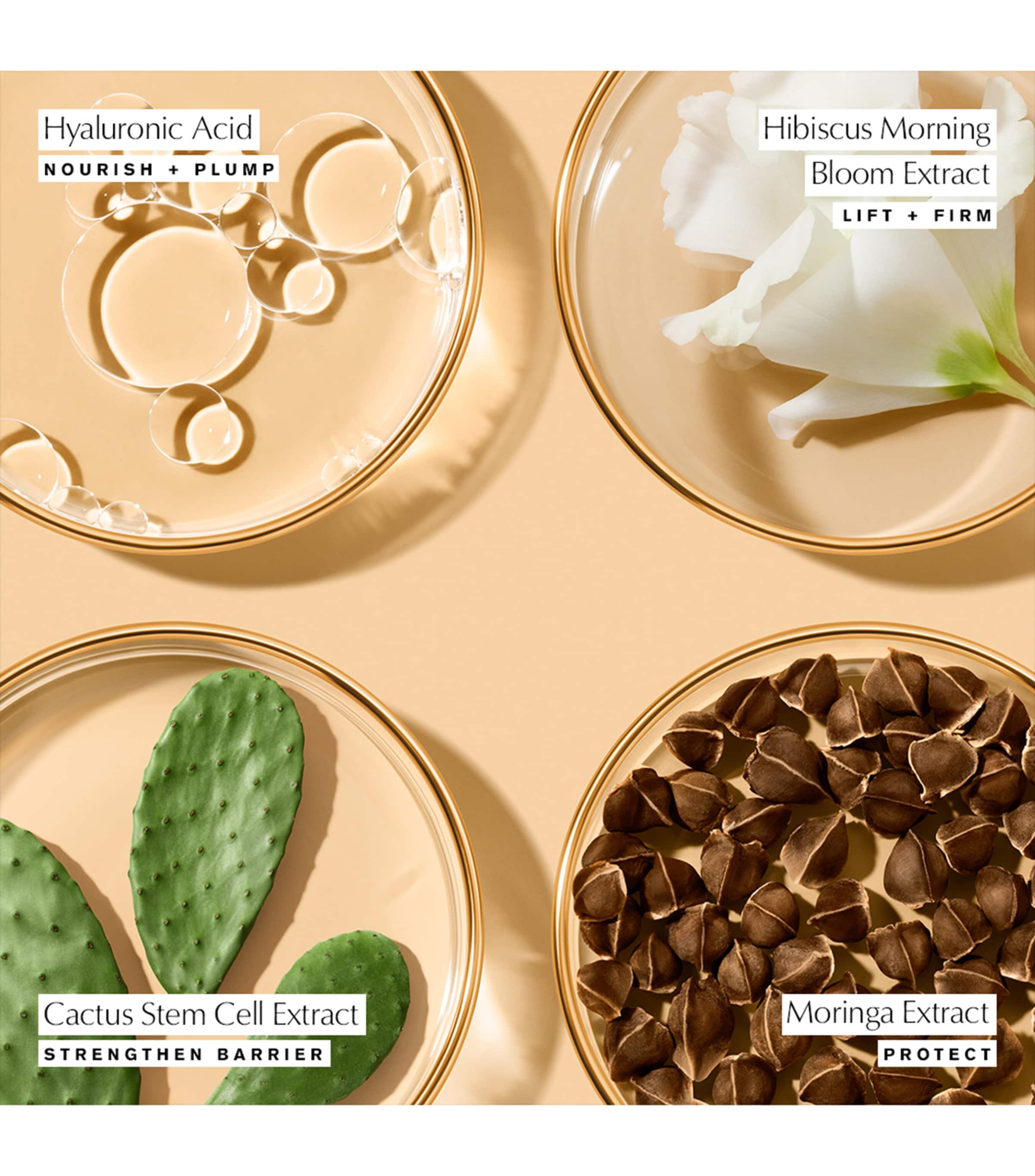 Estée Lauder Revitalizing Supreme+ Youth Power Soft Creme (50ml) Image 4