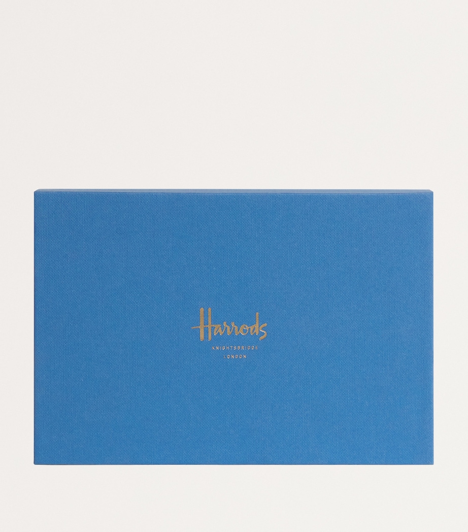 Correspondence Set BLUE Image 2