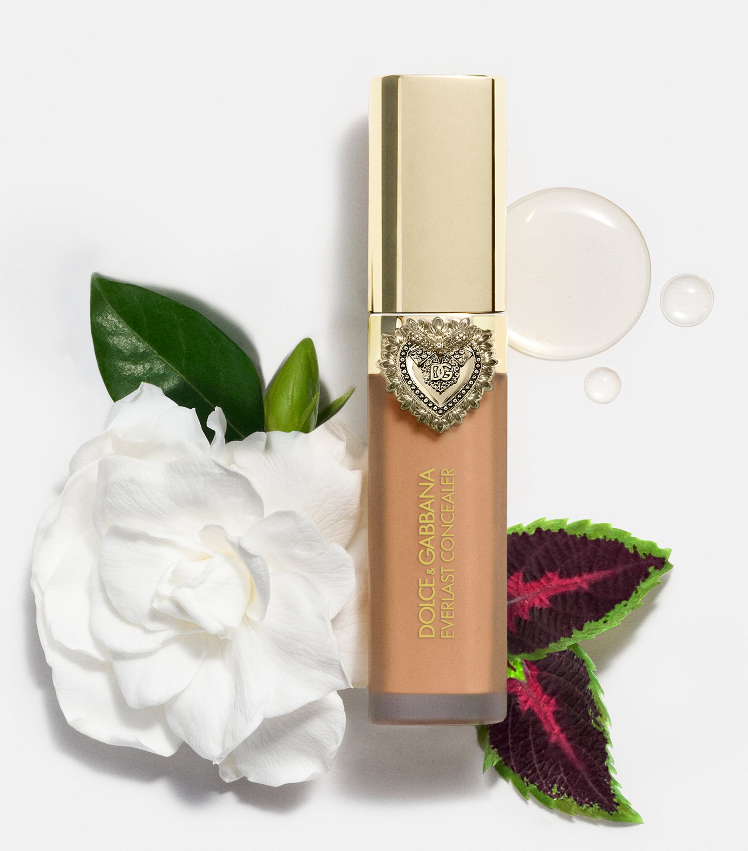 Everlast Concealer 37DEEP Image 7