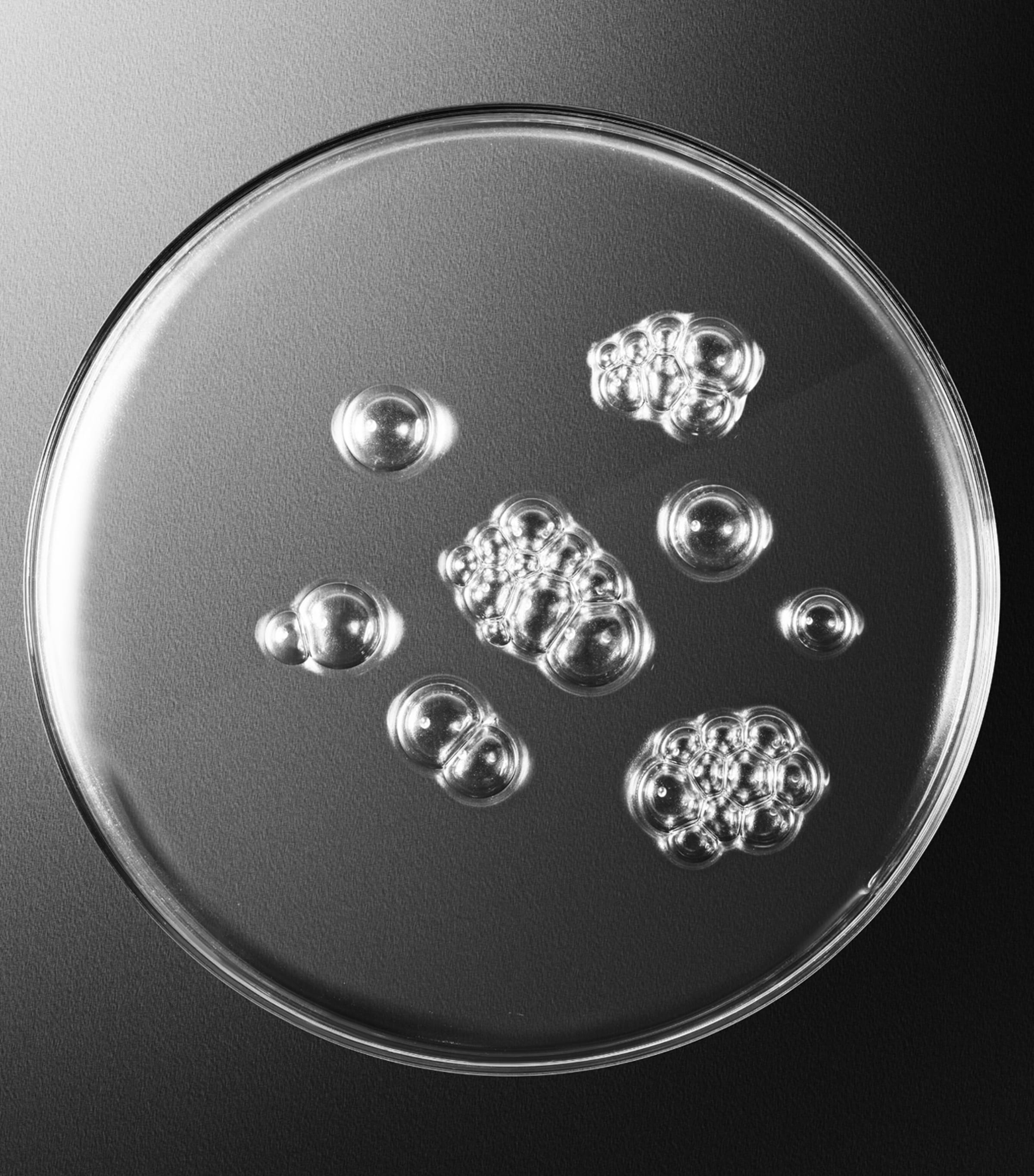 Sisleÿum Revitalizing Toning Lotion (150ml) NO COLOUR Image 4