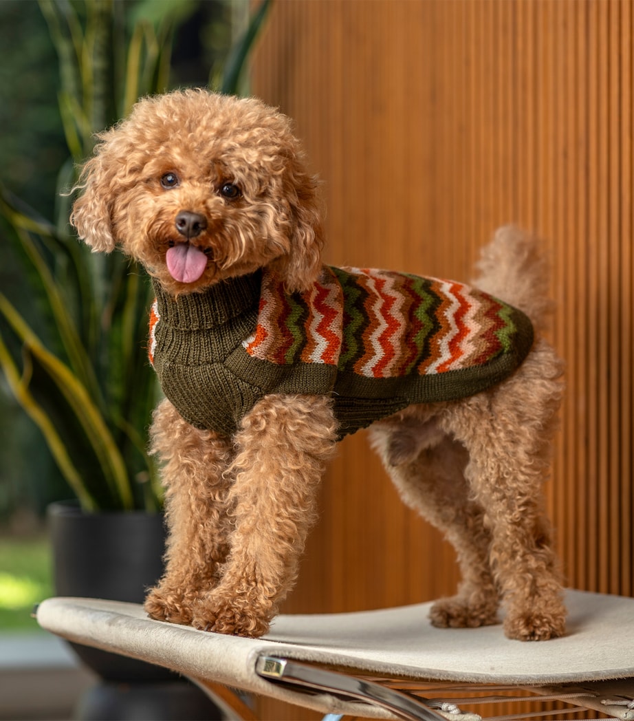Alpaca-Blend Forest Chevron Dog Sweater GREEN Image 2