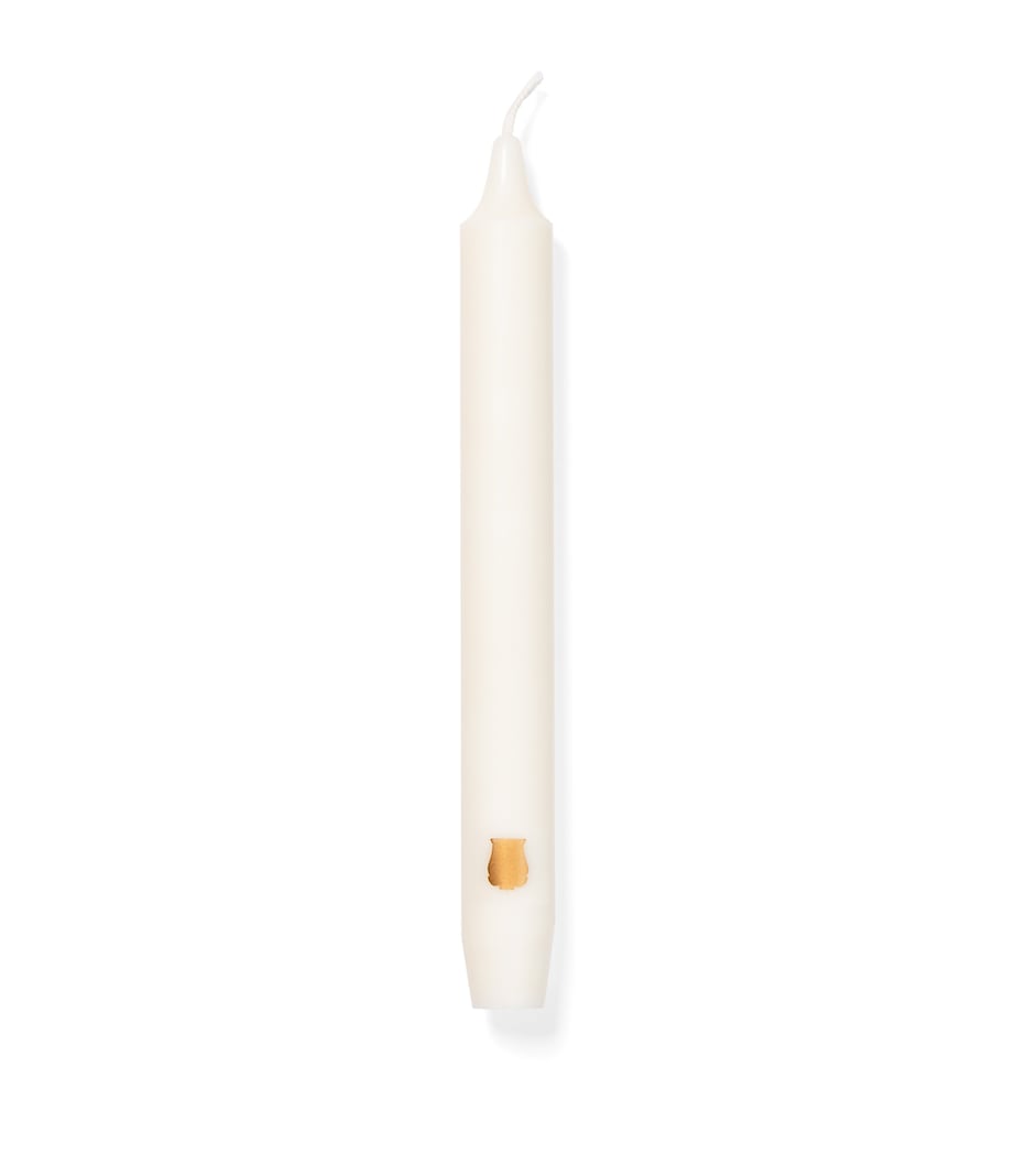 Trudon Madeleine Tapered Candles (Set of 6) White Image 6