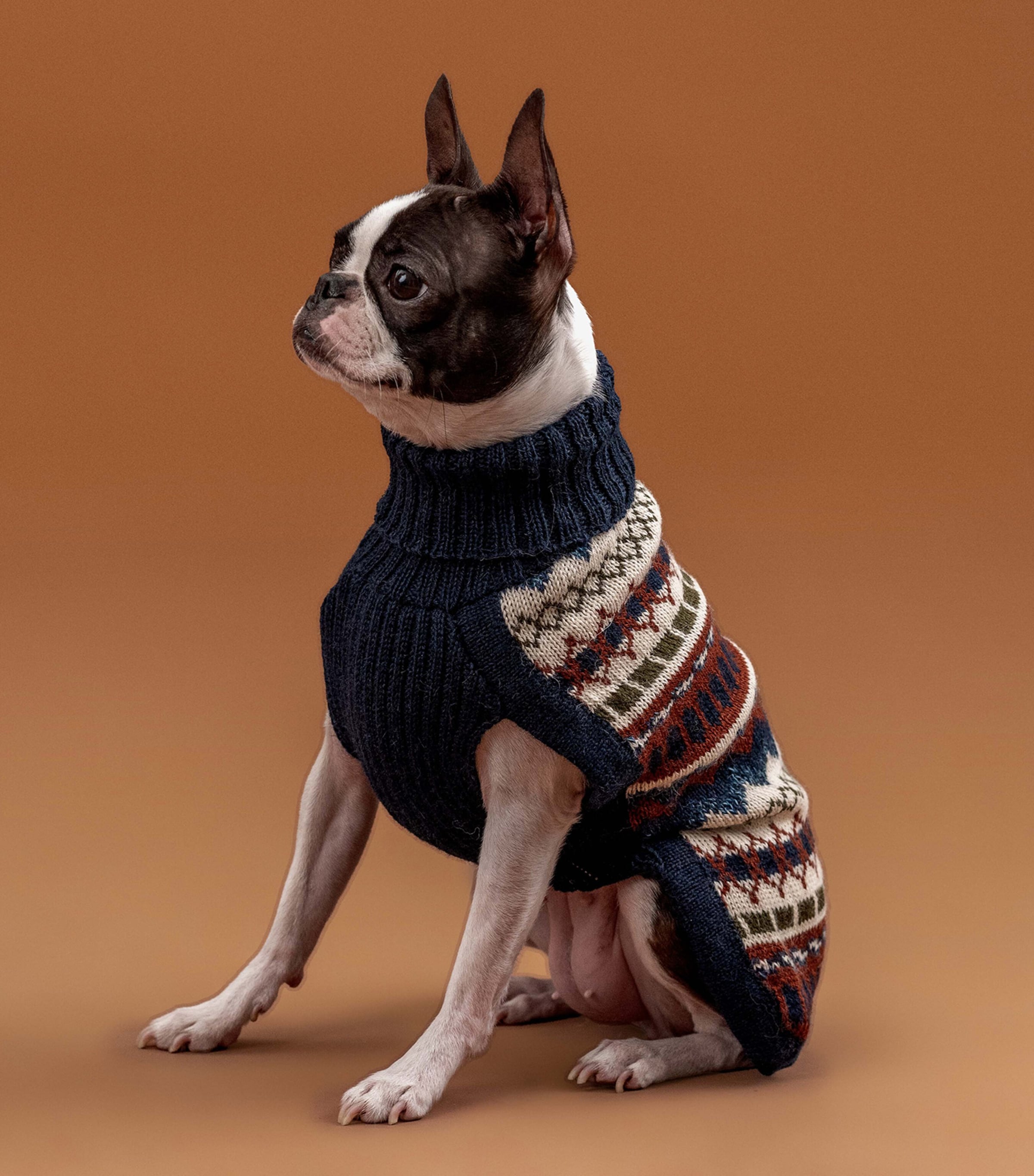 ALQO WASI Iceberg Bleau Melange Dog Sweater (XX-Small) Iceberg Bleu Melange Image 4
