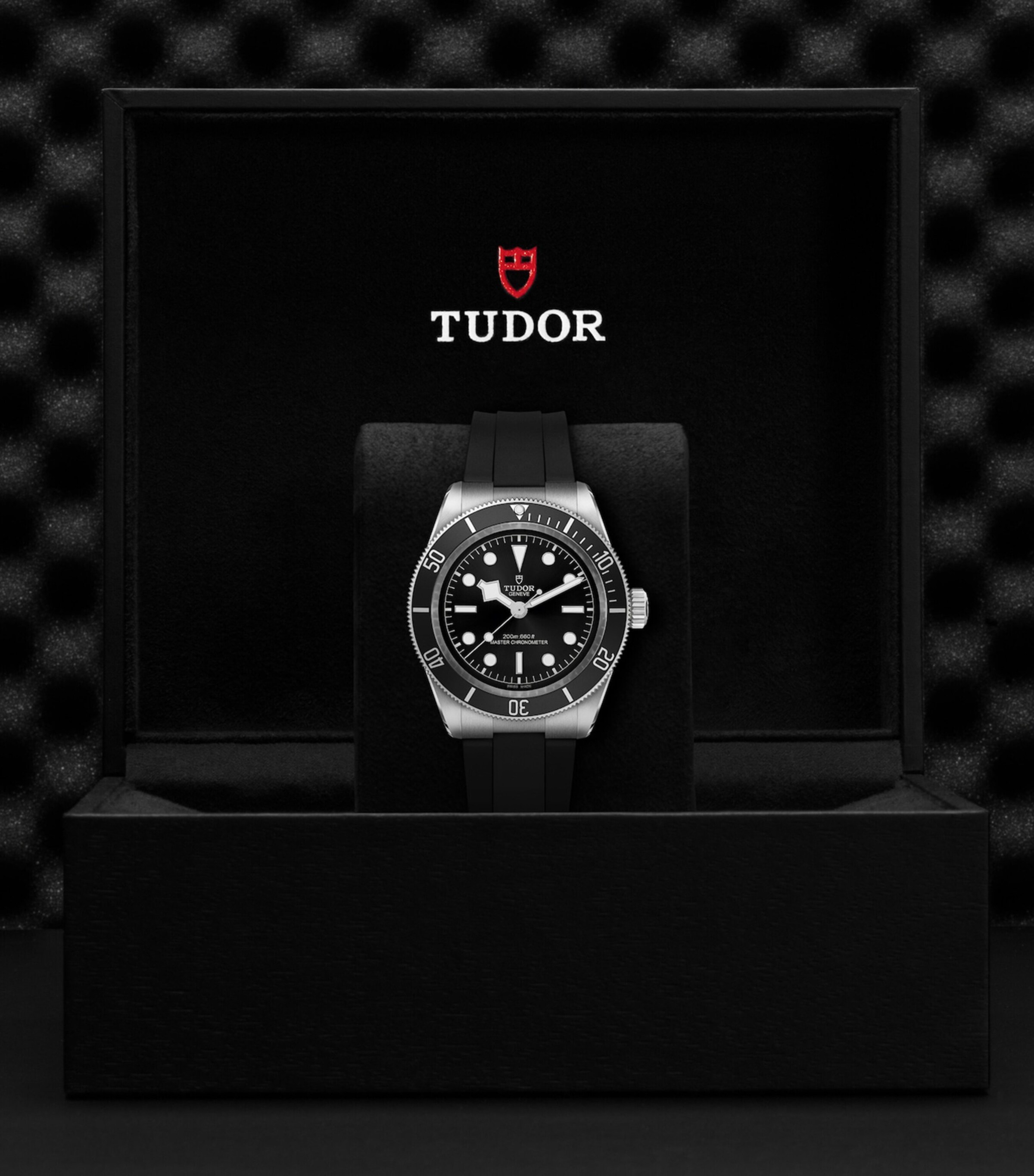 TUDOR Black Bay Stainless Steel Automatic Watch 41mm Black Image 3