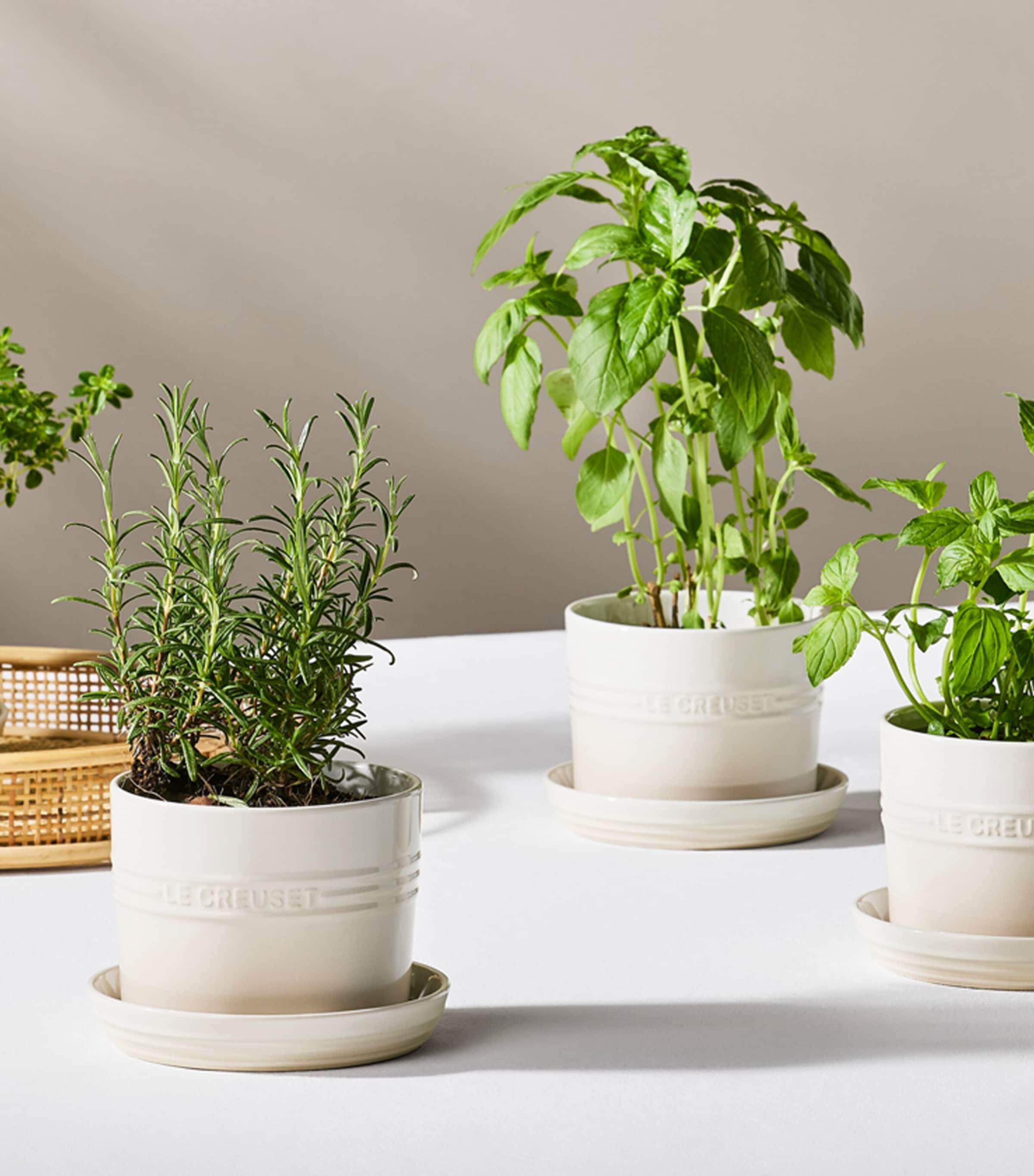Le Creuset Stoneware Herb Planter (15cm) Meringue Image 5