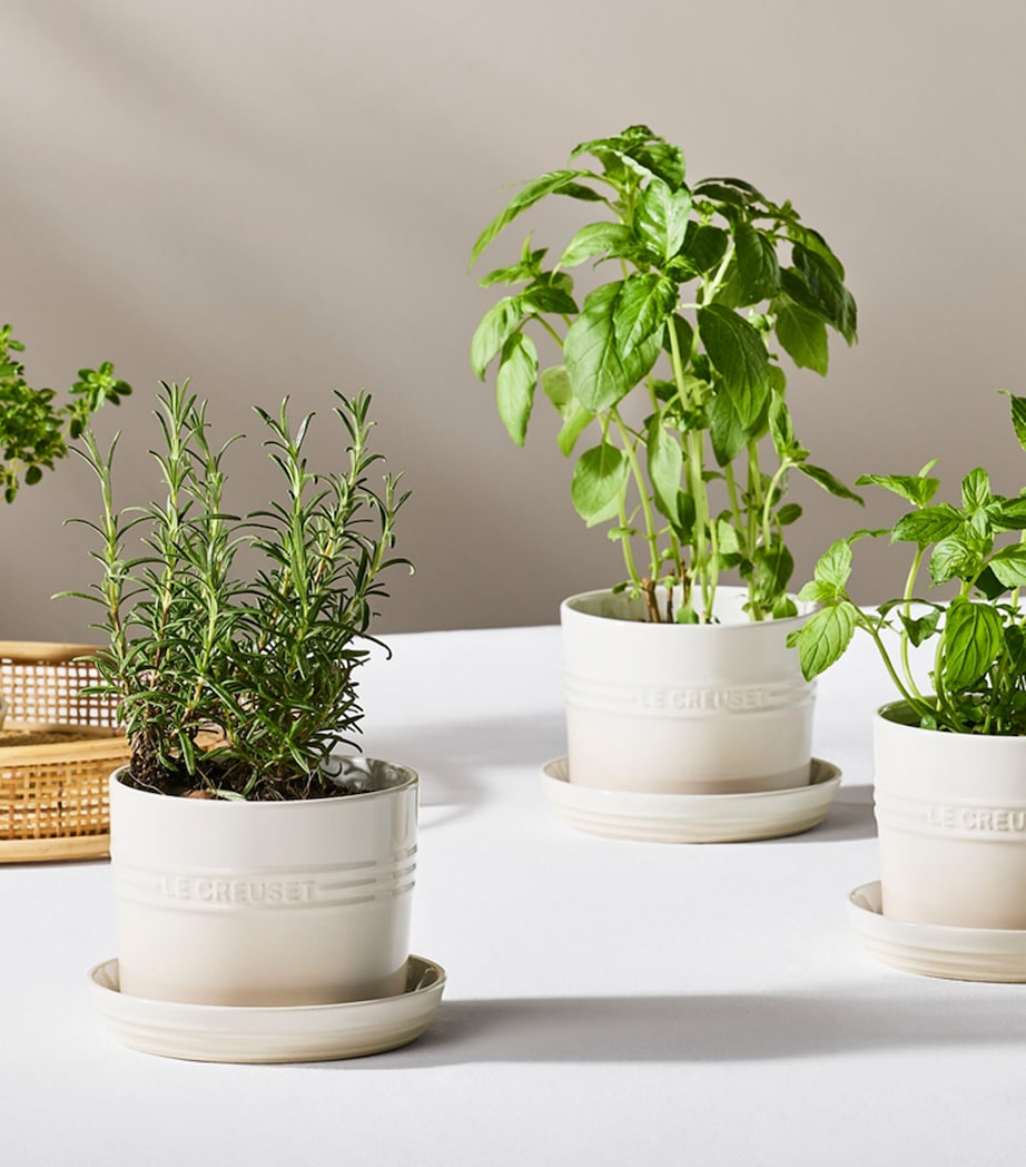 Le Creuset Stoneware Herb Planter (15cm) Meringue Image 5