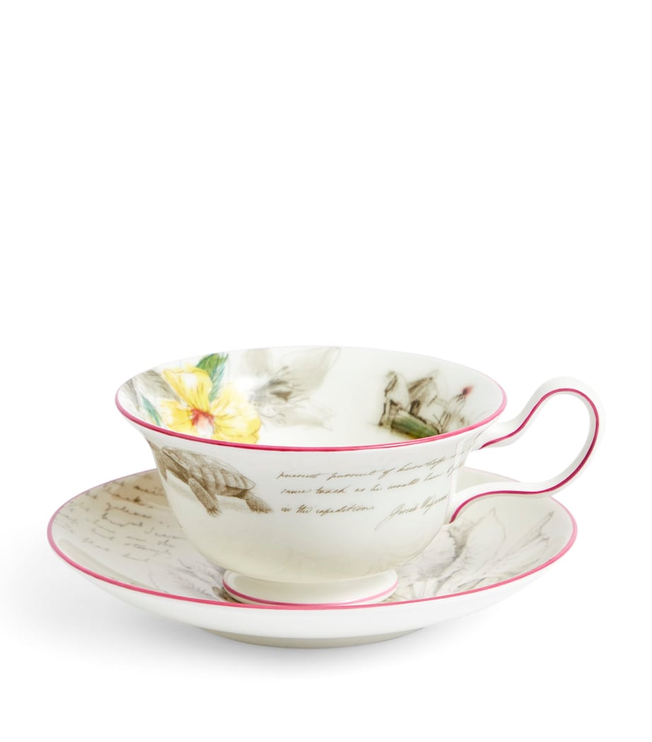 Voyage of the Beagle Galapagos Islands Plate, Teacup and Saucer Set MULTI Image 3